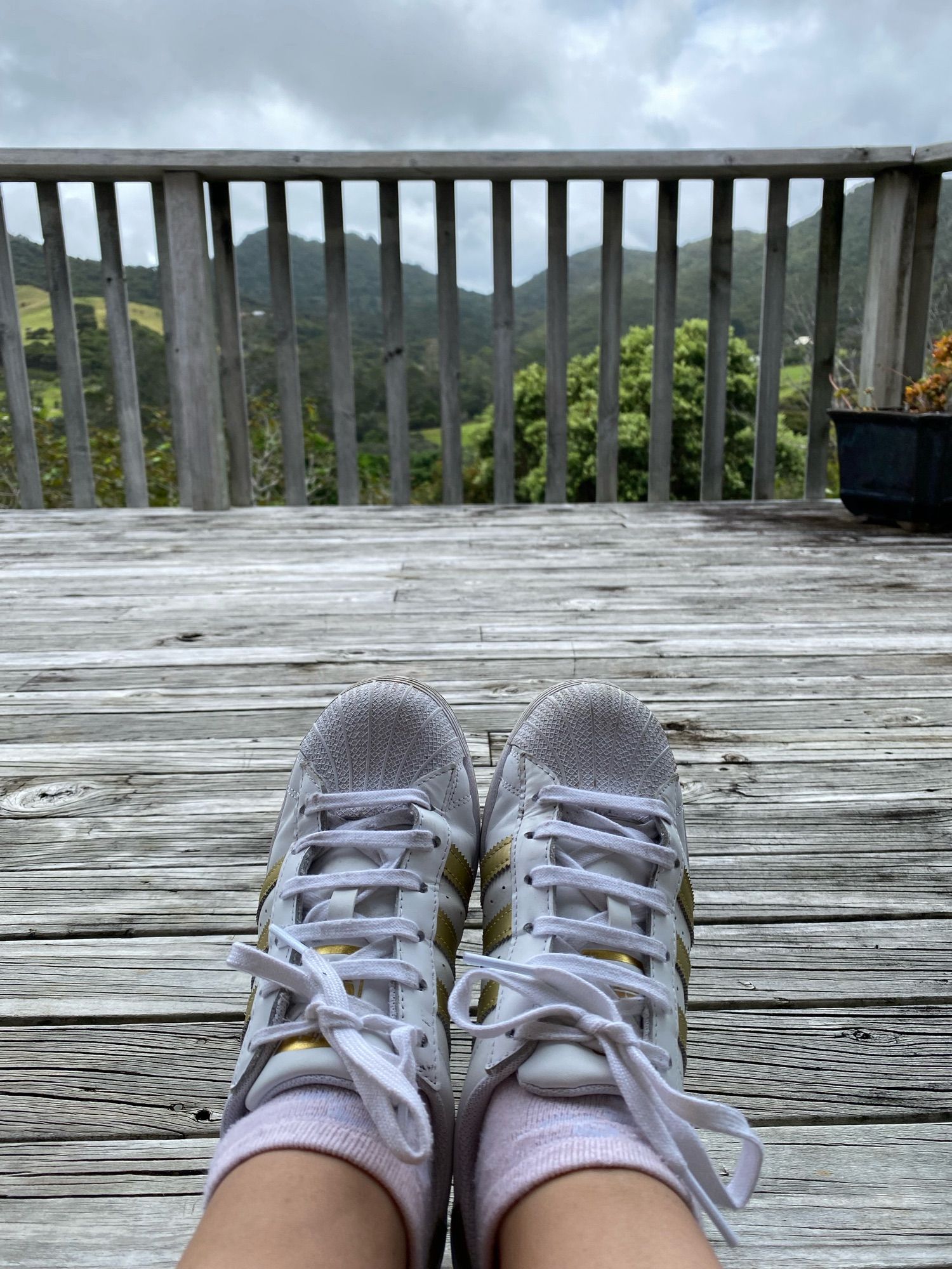 A picture of someone lower legs & feet in a pair of white laced up sneakers, on a wooden deck, with a view to the native NZ bush through the balustrade. The sky is hazy with clouds.