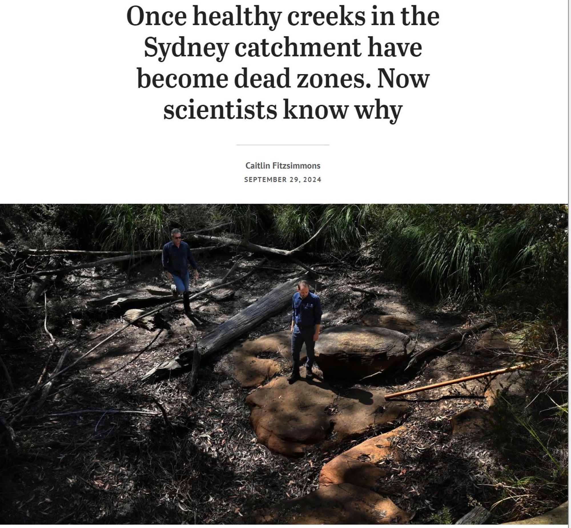 screenshot of article on SMH website. Title reads "Once healthy creeks in the Sydney catchment have become dead zones. Now scientists know why."
Image of two people standing in a creek bed that doesn't look healthy - no visible water, lots of dry leaves