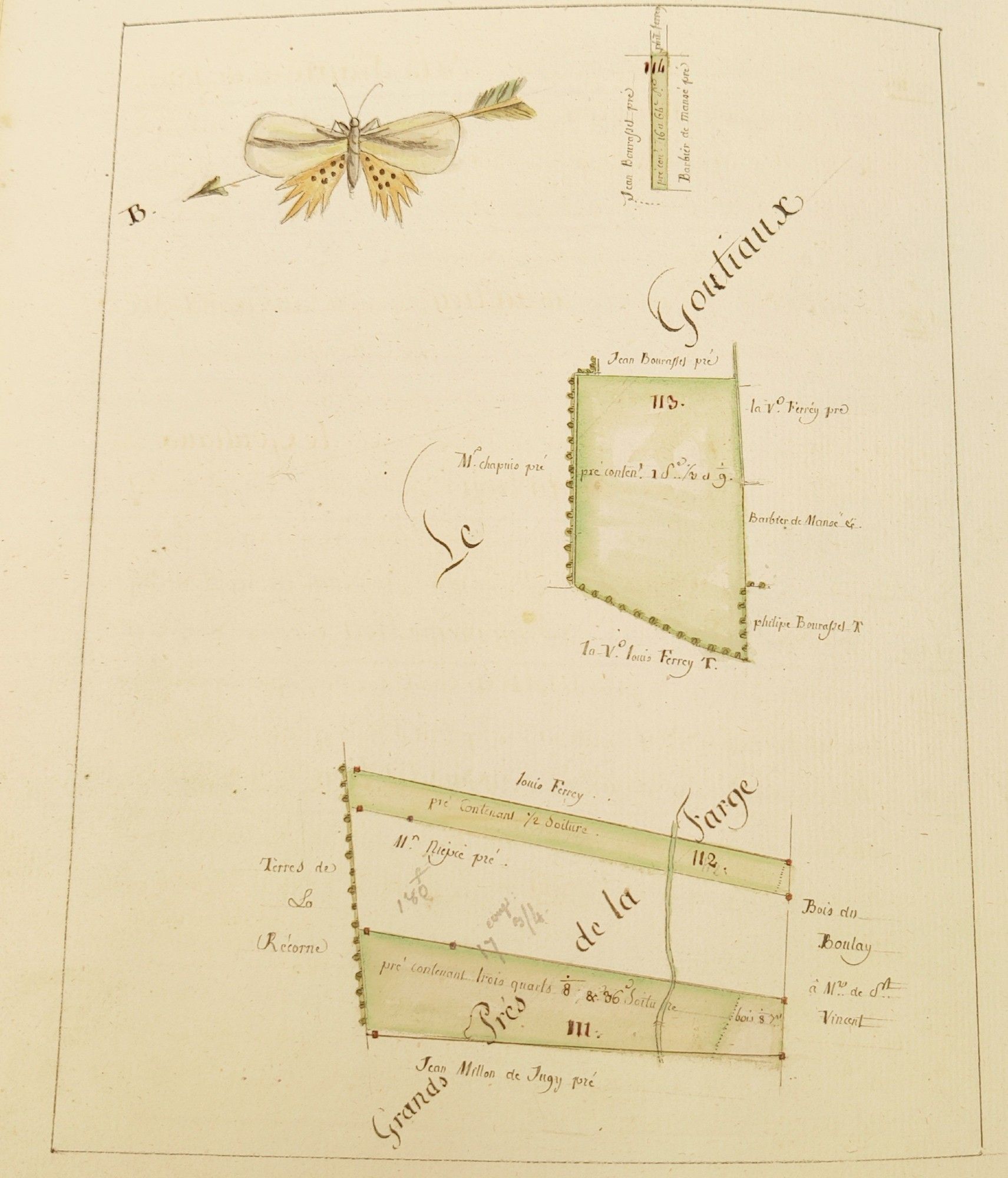 Polkadot moth above a map of vineyards