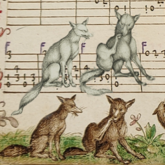 Digitally cut out fox engravings in black and white superimposed over two colorful ones copying it in a music manuscript