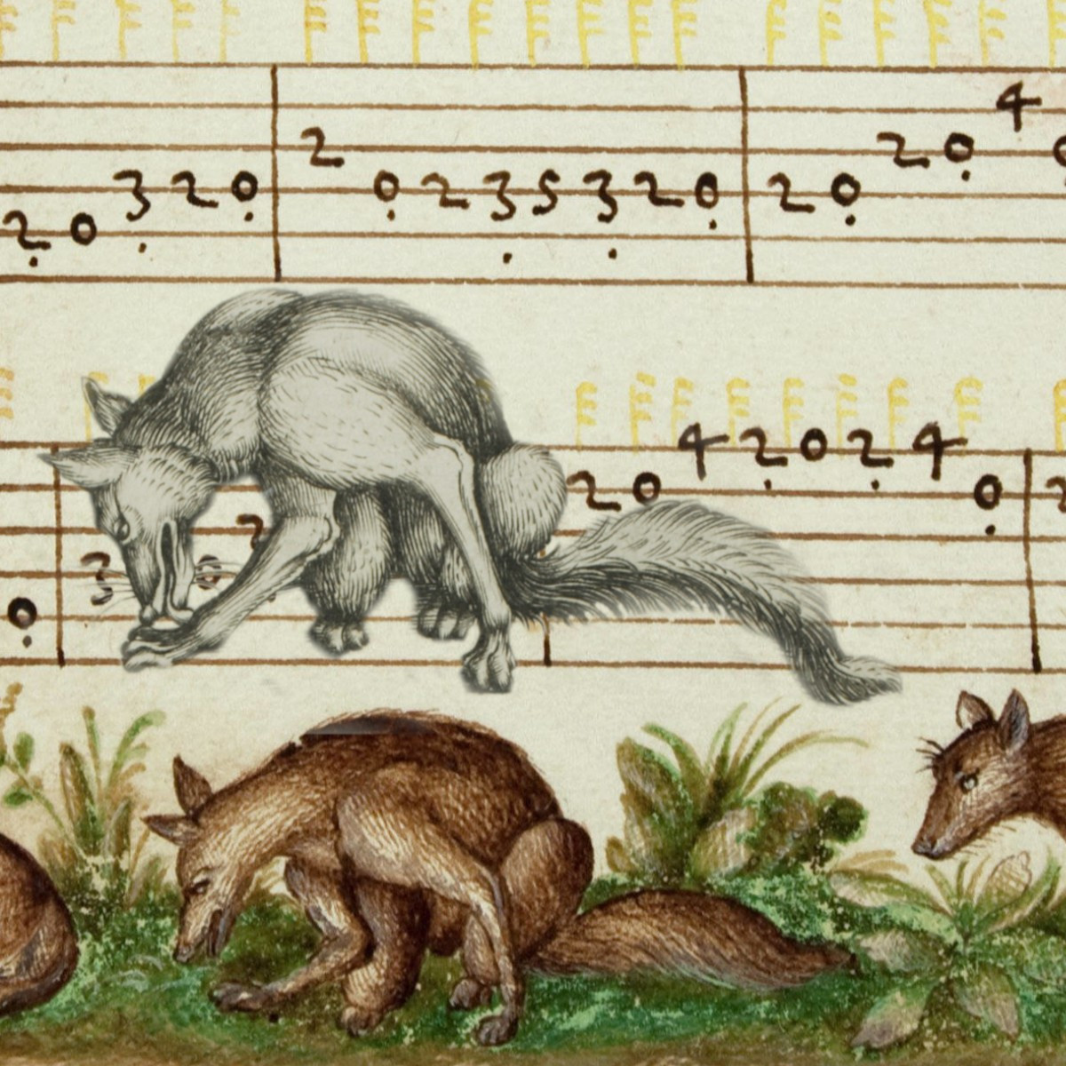 Digitally cut out fox engraving in black and white superimposed over a colorful one copying it in a music manuscript