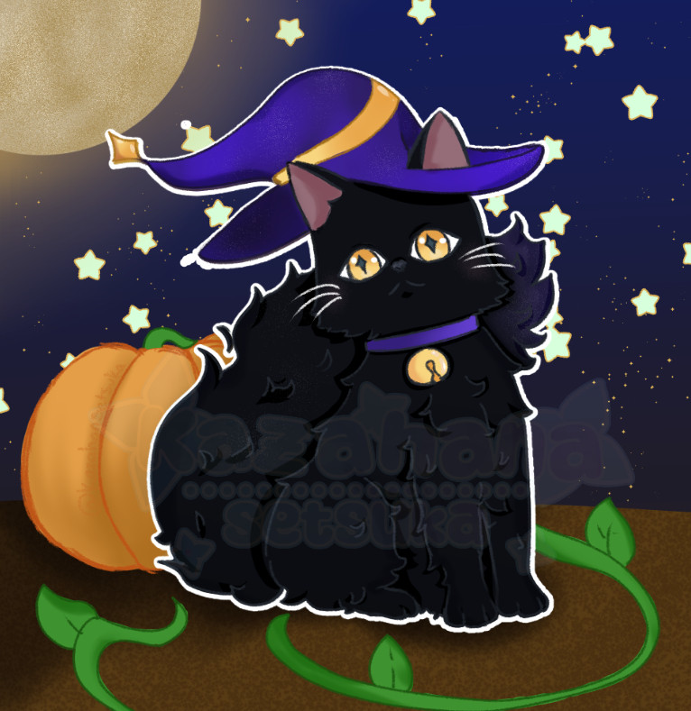 Black cat wearing a bell and a purple witch hat in front of a pumpkin at night.