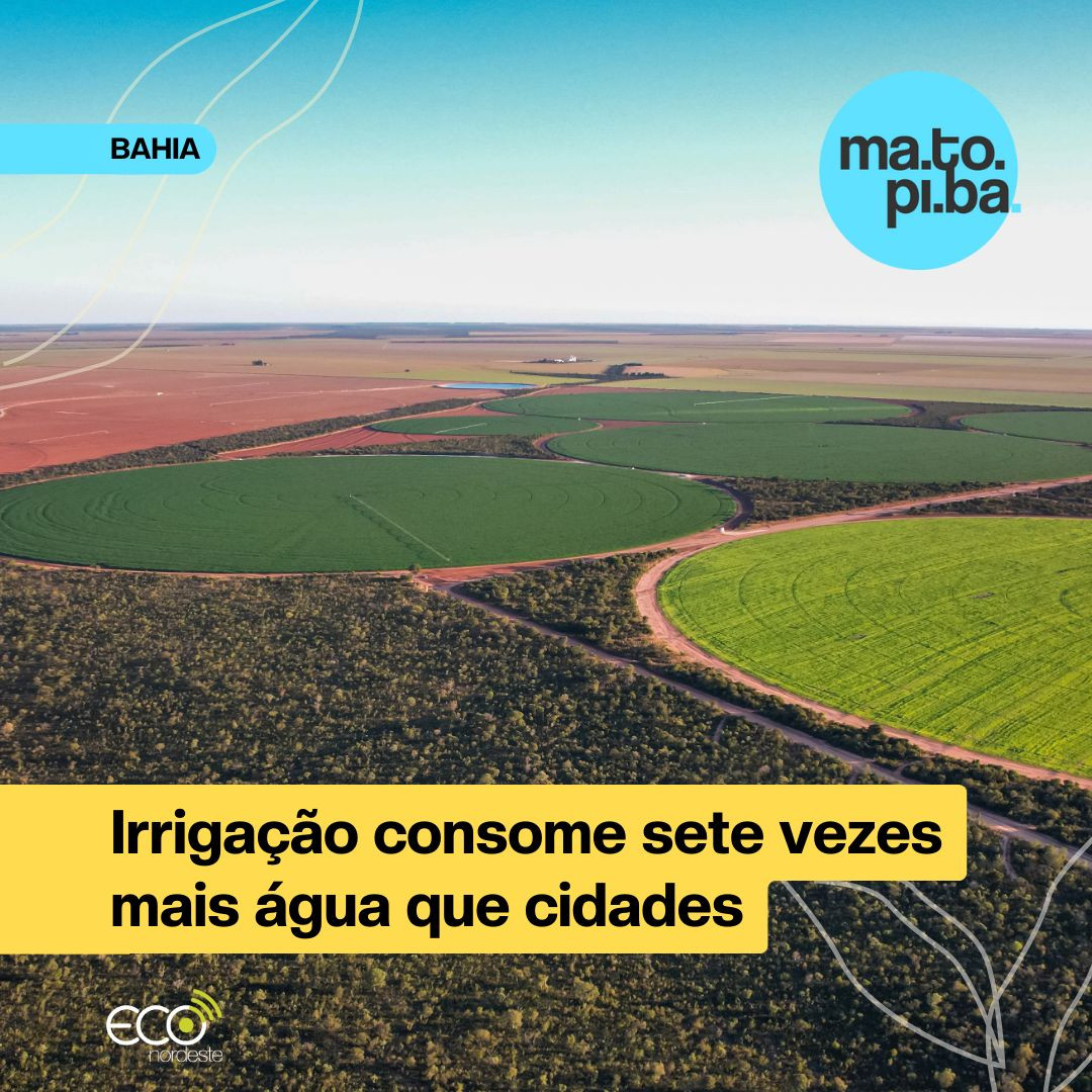 Card sobre foto aérea colorida de plantações em círculos cercadas de vegetação nativa e de terrenos preparados para o plantio sob um céu azul no horizonte.  Acima, à direita, logo circular do ma.to.pi.ba, à esquerda, faixa  azul com o texto em preto escrito Bahia. Abaixo, ao centro, faixa amarela maior com o texto em preto dizendo: Irrigação consome mais água que cidades. No rodapé, logo da Eco Nordeste. 