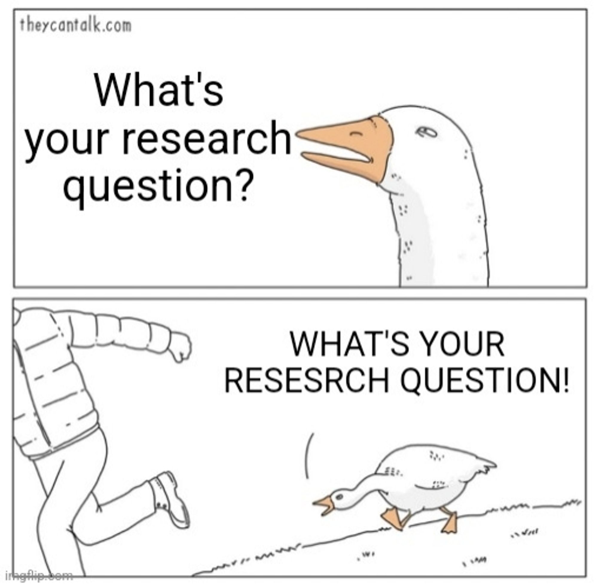 Goose chasing meme.

"What's your research question?"

Then angry goose chasing yelling the same phrase.