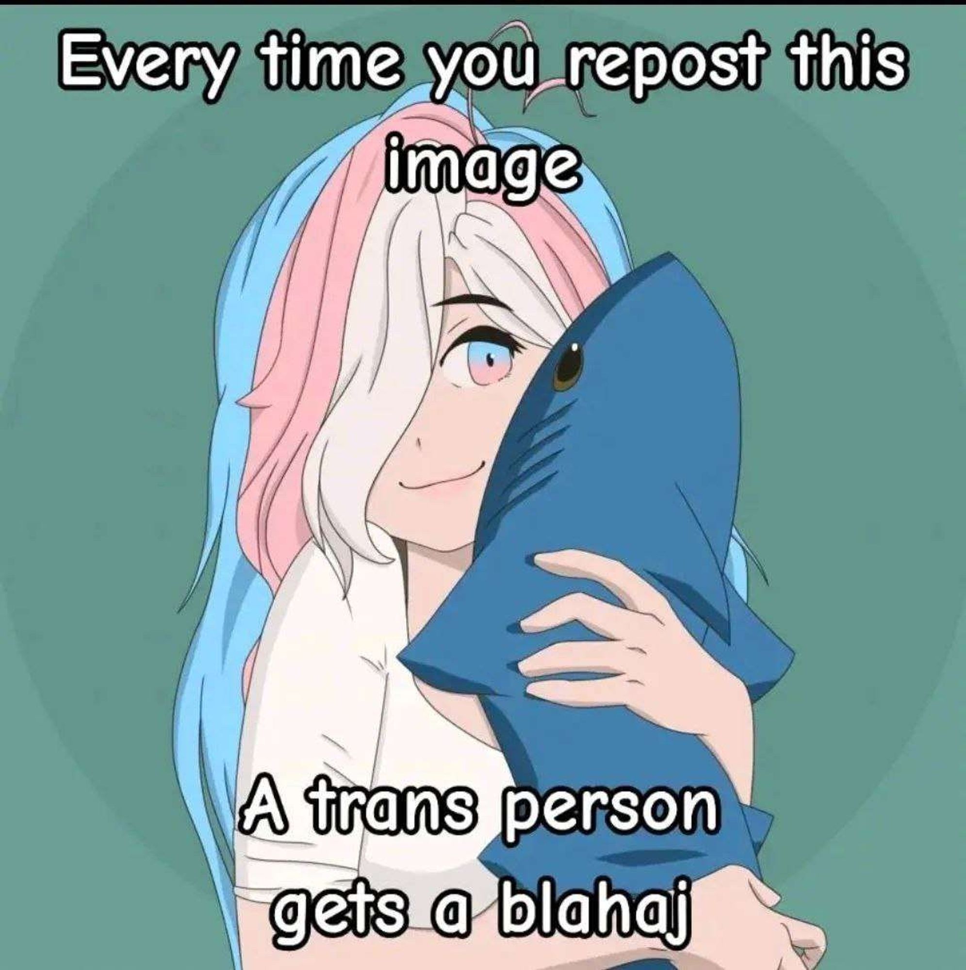 Picture of a girl with trans flag colored hair holding a blahaj with the text "every time you repost this image" on top, and "a trans girl gets a blahaj" on the bottom.