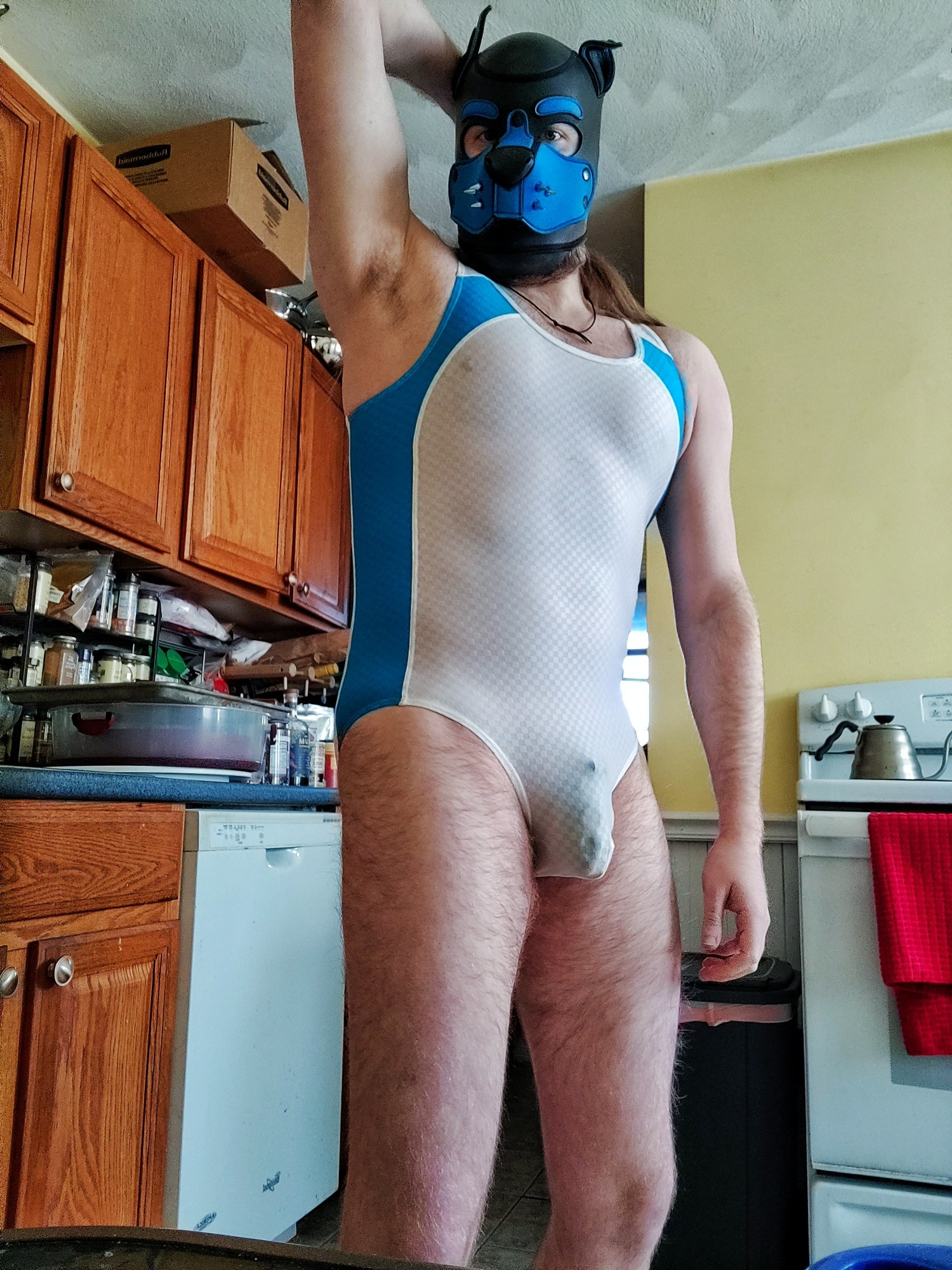 Posing in my cobalt blue pup hood and a white leotard with blue side panels. The white fabric is nearly see-through showing off my nips, muscles, and cock cage. Posing with my right arm lifted exposing my pit.