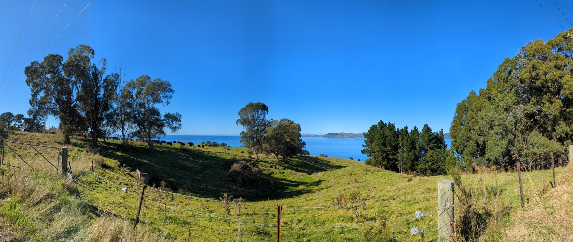 A panorama of the coast where I live