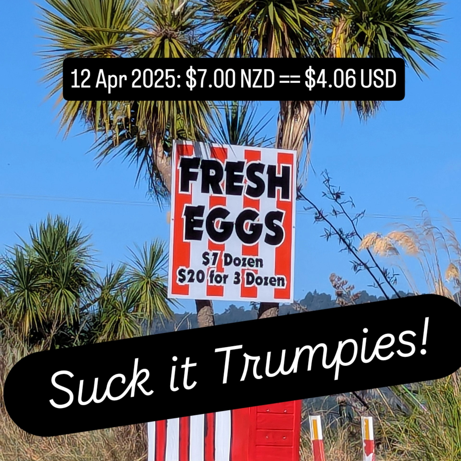 Eggs are abundant and affordable 