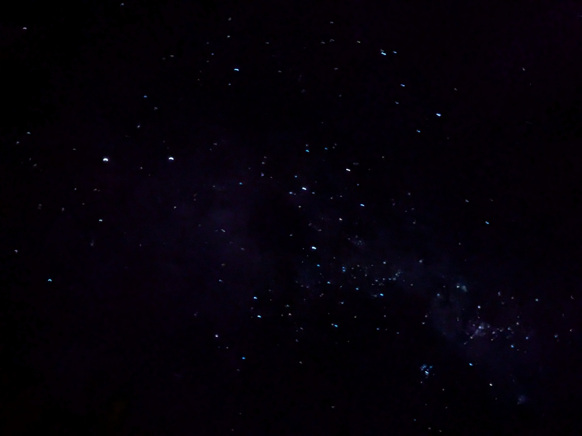 Crux (Southern Cross)
