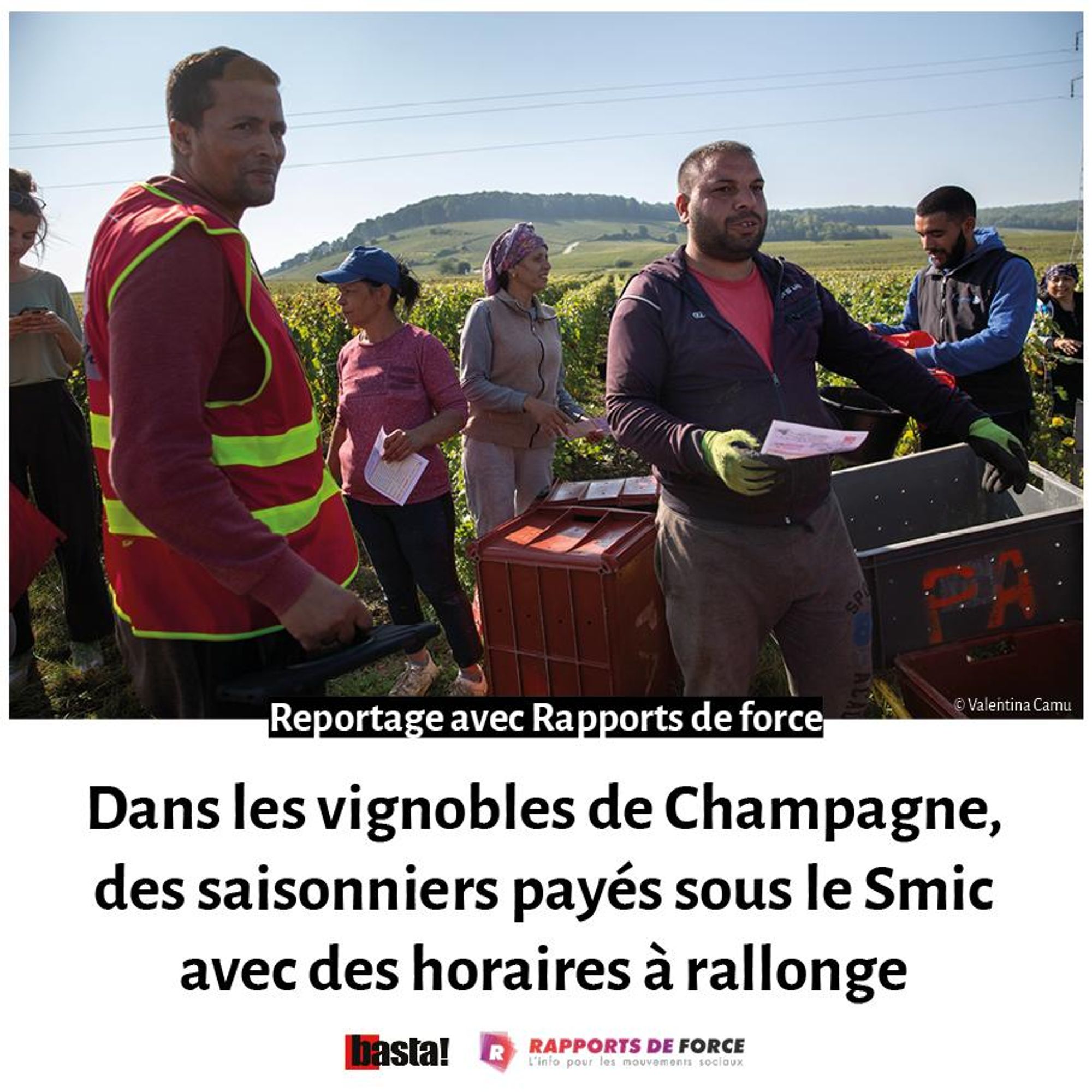 Photo de travailleurs saisonniers travaillant dans les vignobles champenois qui livrent à Moët&Chandon et Veuve Cliquot, prestigieux champagnes du groupe LVMH de Bernard Arnault. Illustration de notre reportage en partenariat avec Rapports de force, sur les abus en matière de droit du travail dans les vignobles de Champagne, où les saisonniers sont payés sous le smic avec des horaires à rallonge