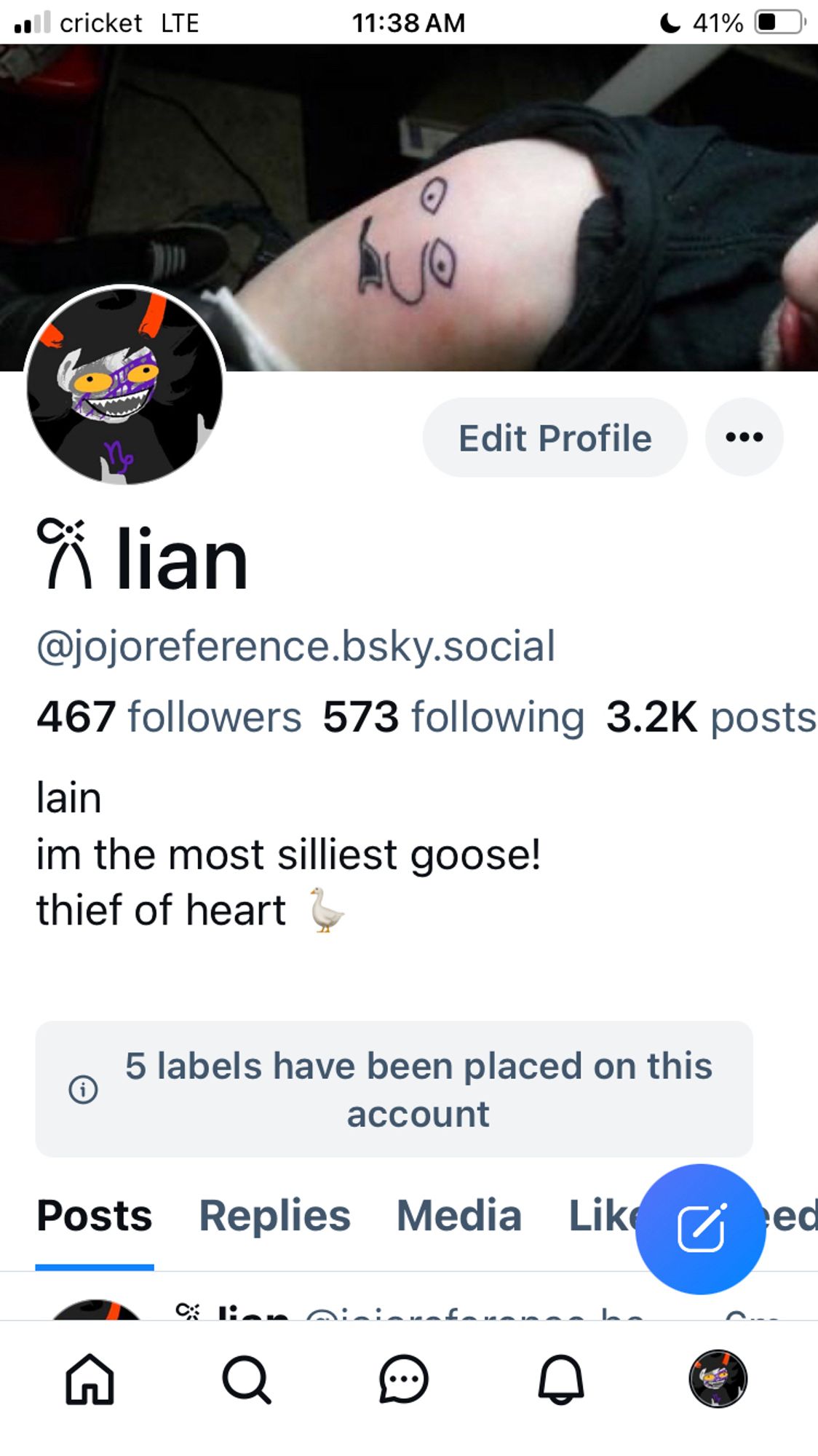 lian is as lain in my bio