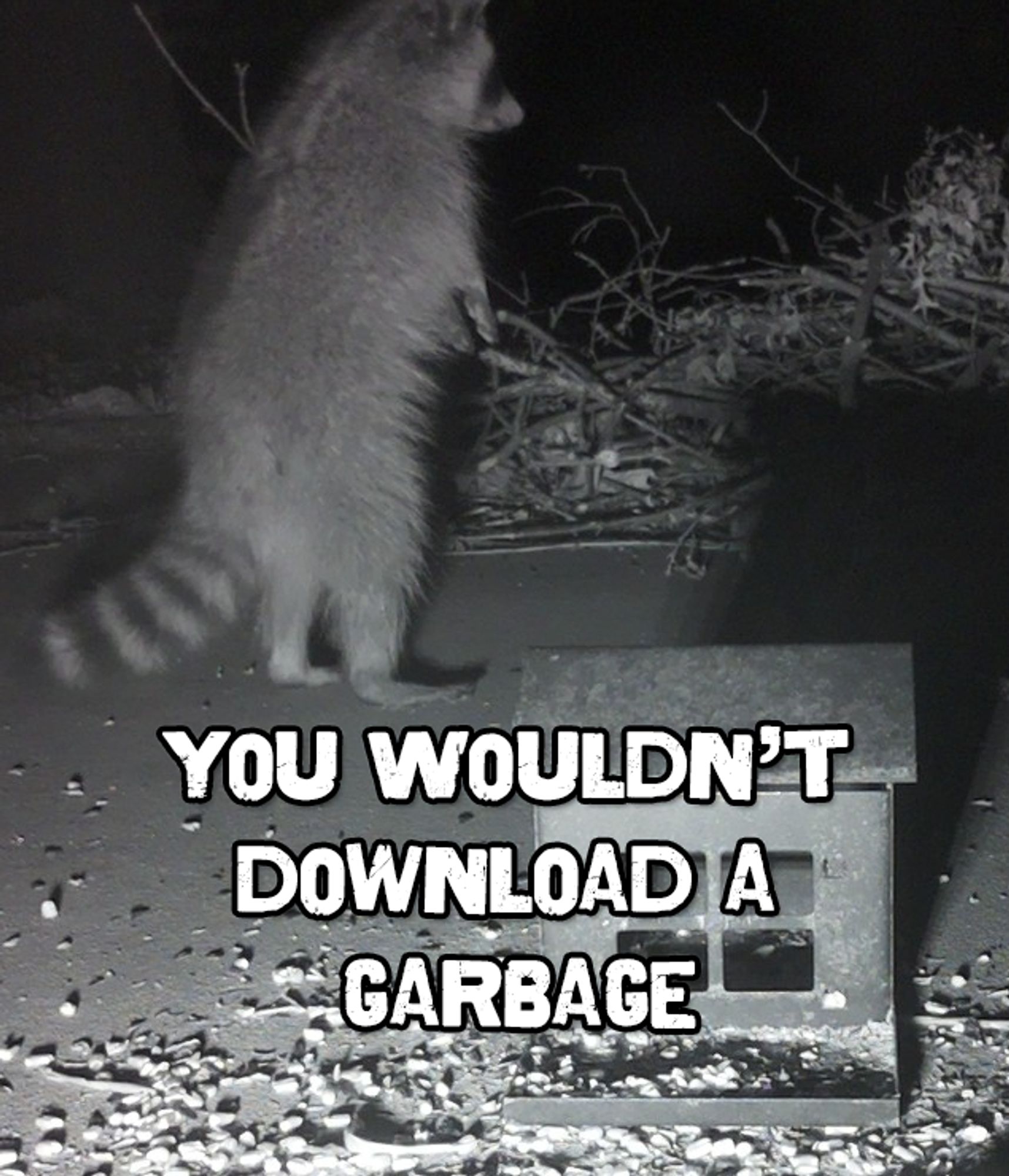 Meme image of a raccoon standing on two legs that reads "You wouldn't download a garbage."