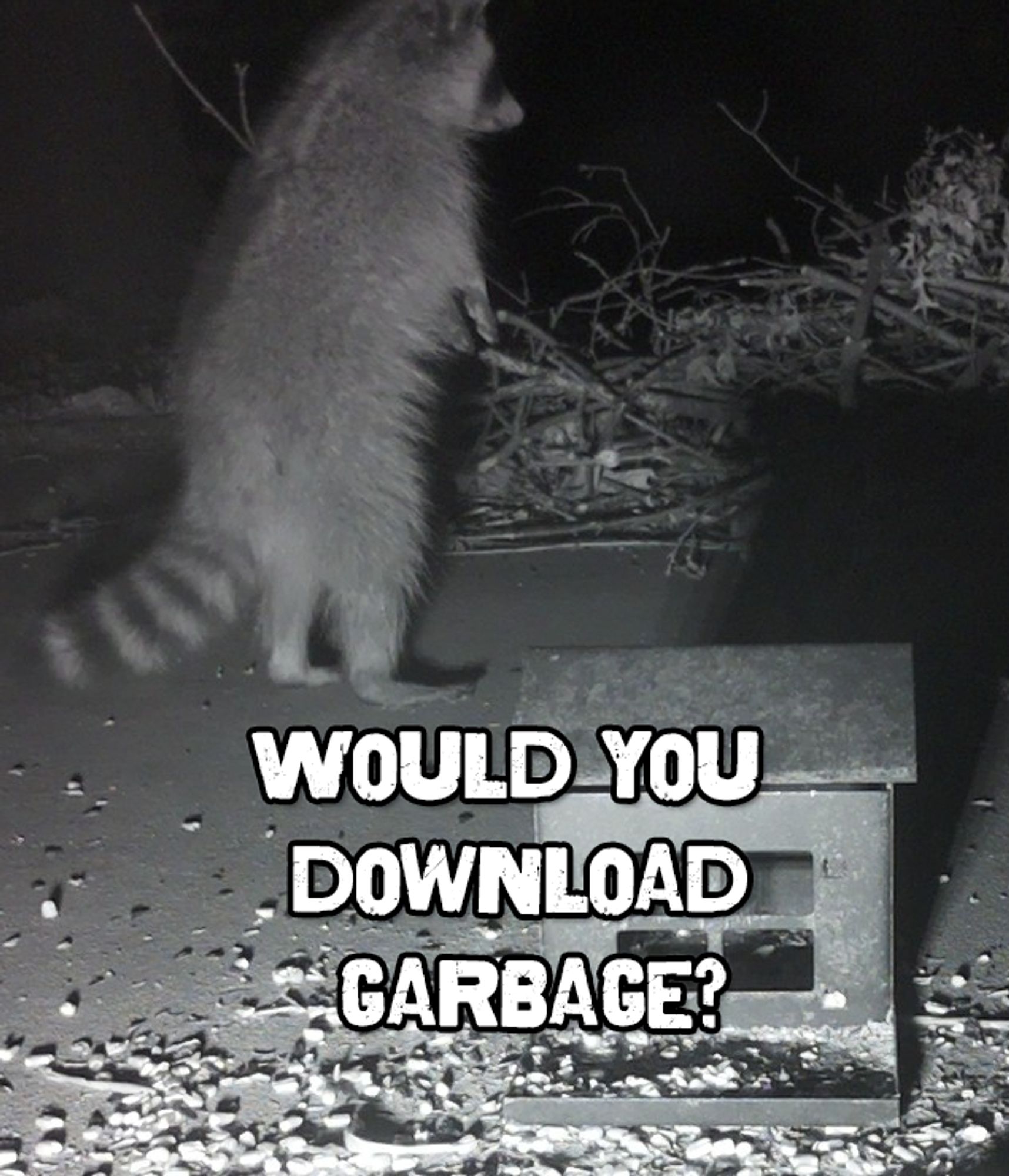 Meme image of a raccoon standing on two legs that reads "Would you download garbage?"