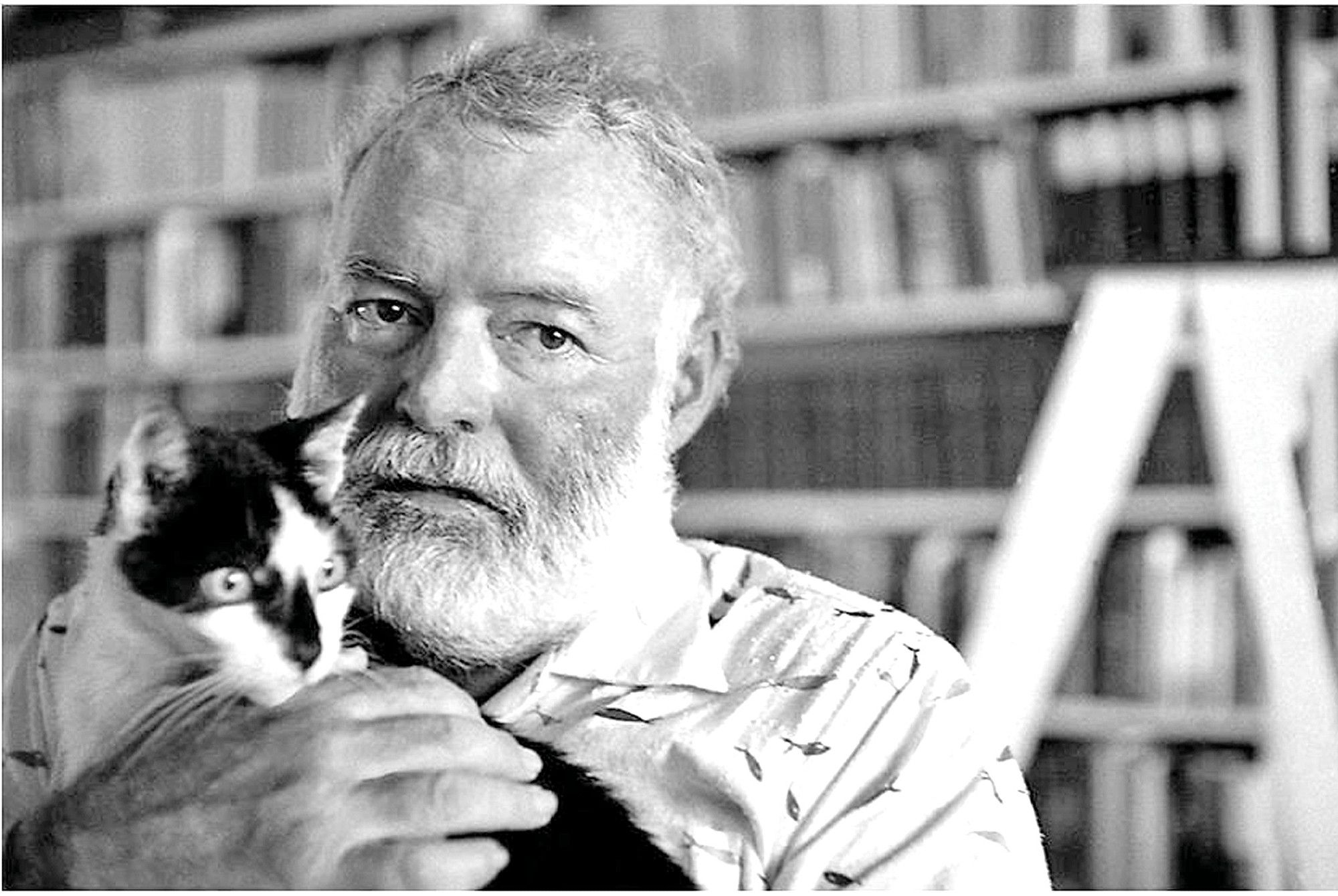 Ernest Hemingway holding a black and white cat.  In the background is an out-of focus bookshelf completely filled with books.