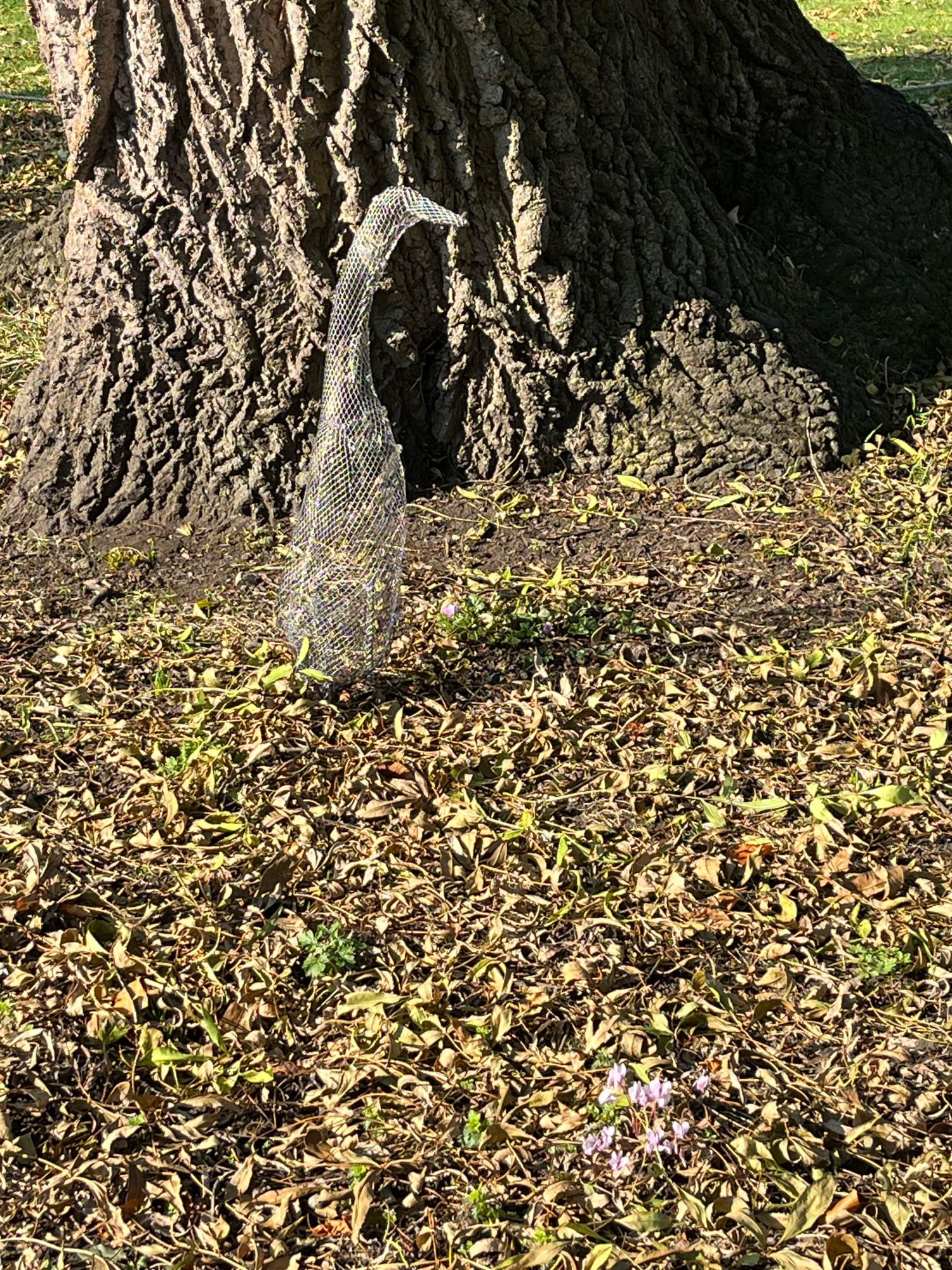 Photo of a wire work runner duck, duck sized, under a tree in sunshine