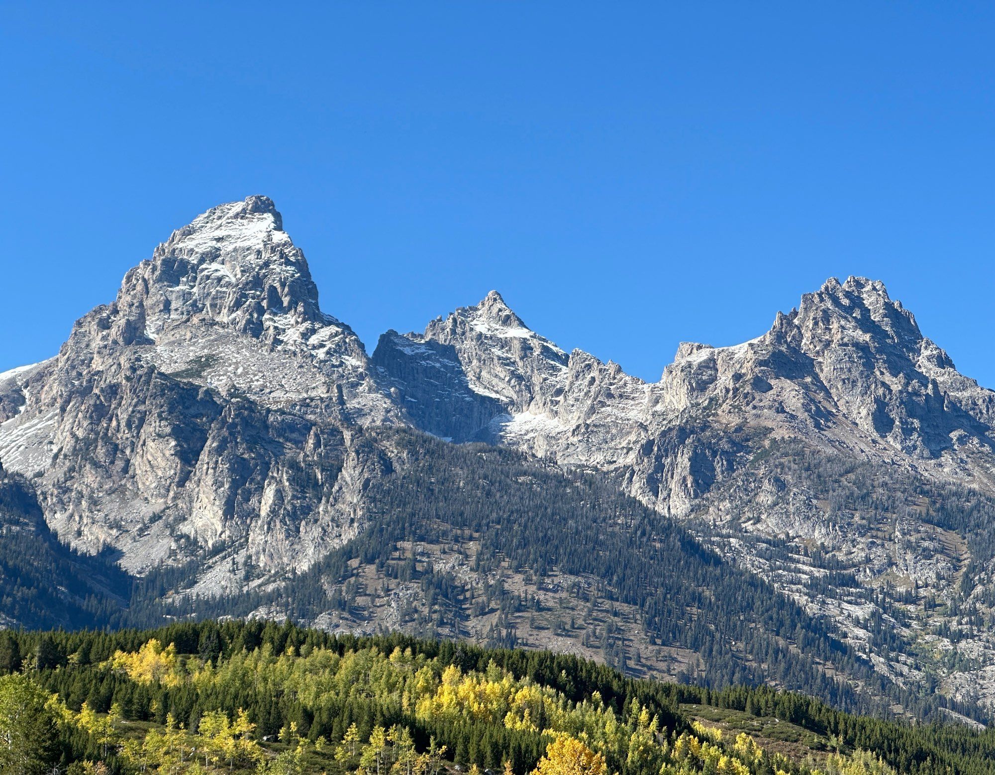 Photo of Grand Teton, Mount Owen and Teewinot Mountain, with lines of fir and yellow aspen trees at their base, under a brilliant blue sky 