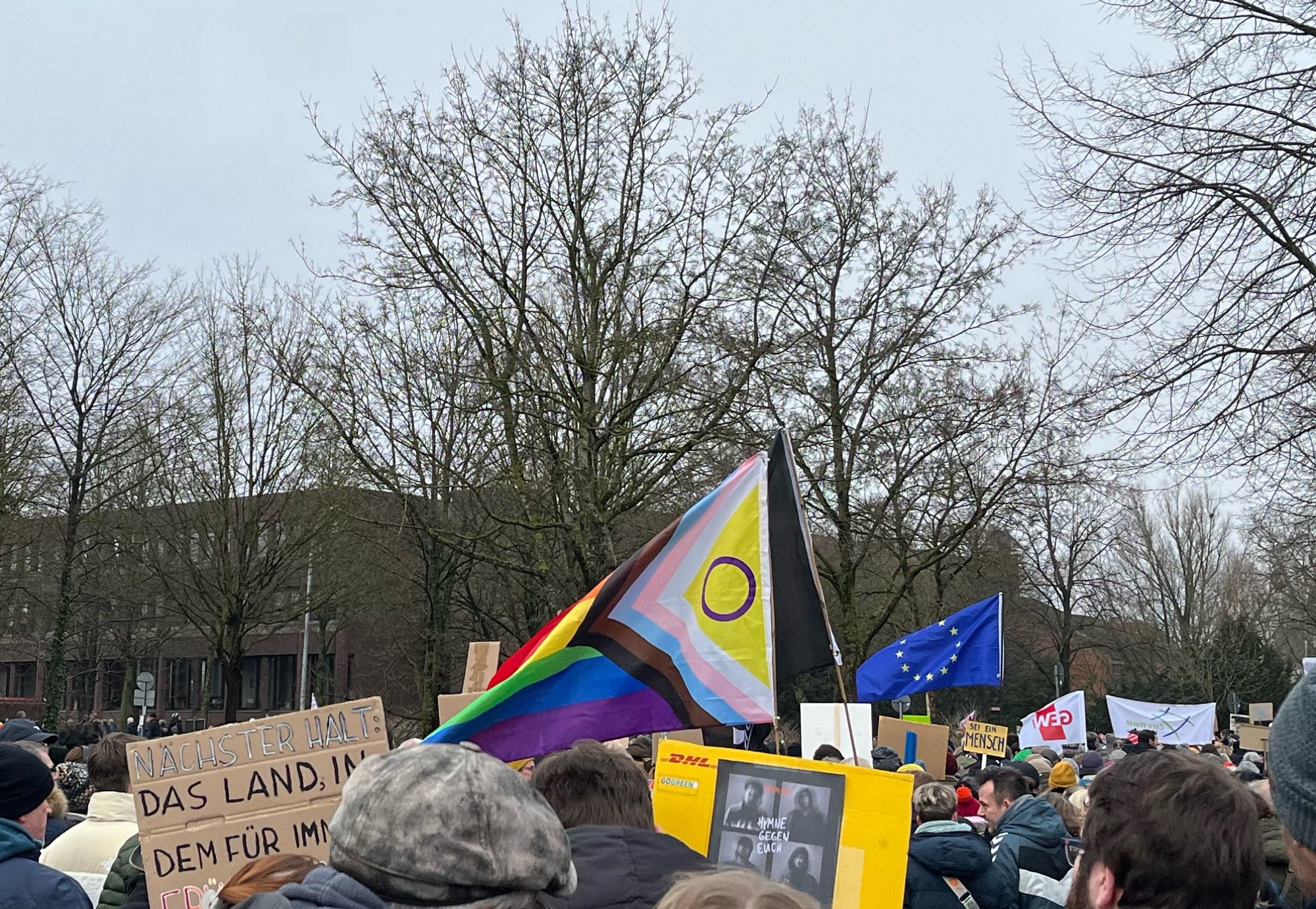 Blick über die Menschenmenge, man sieht Schilder und Flaggen