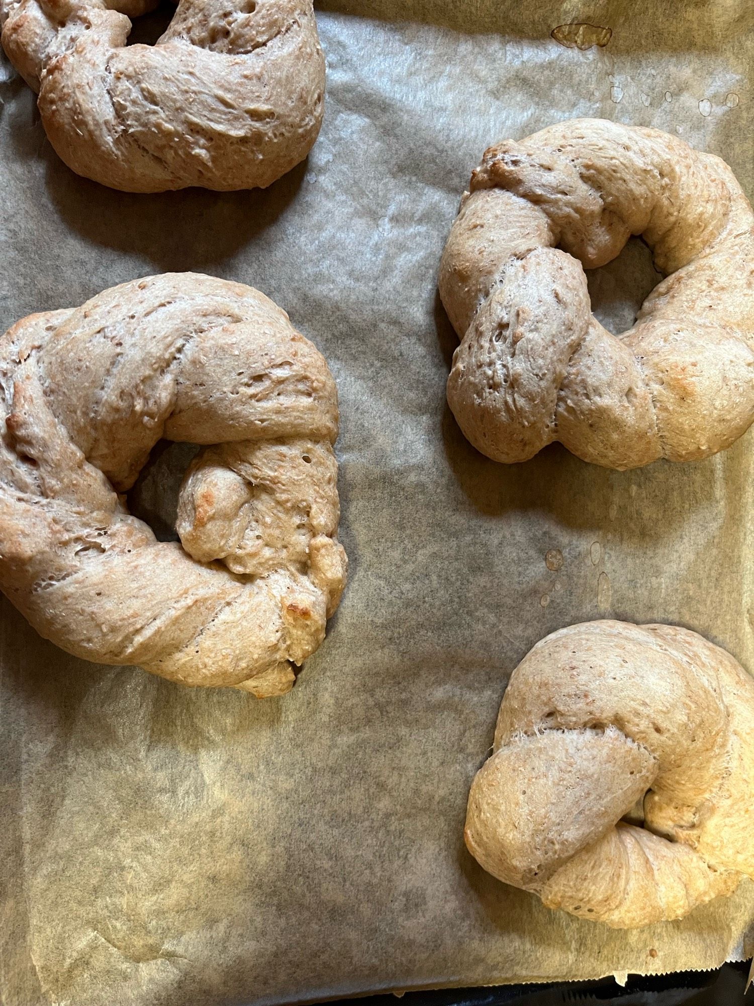 Gebackene Bagels auf dem Backblech