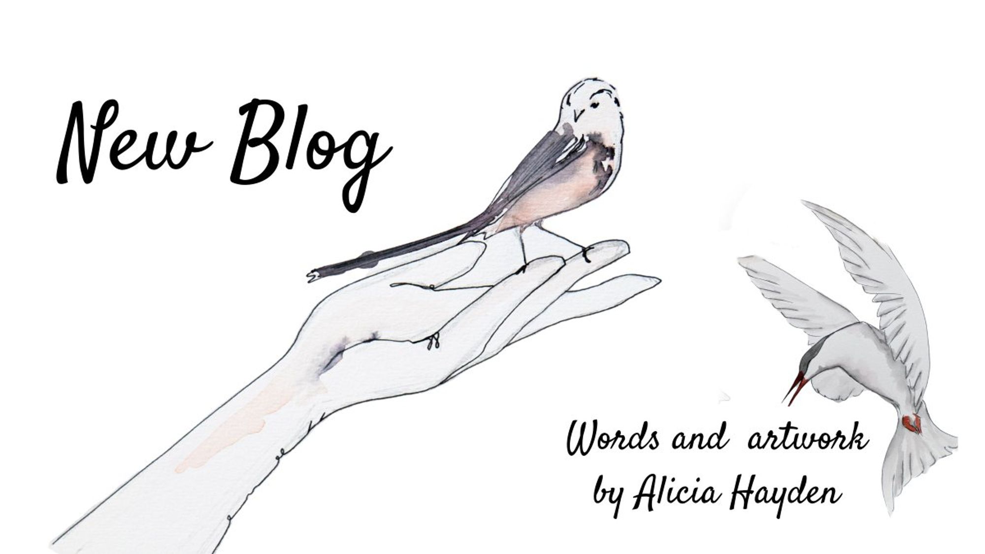 A brave, inspiring, and powerful blog - by artist, film maker, writer, and BTO Youth Advisory Panelist,  Alicia Hayden