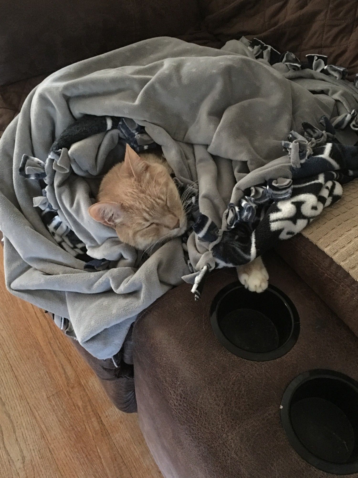 An orange cat surrounded by a large gray blanket. He is asleep & has his head one paw peeking out from beneath the blanket