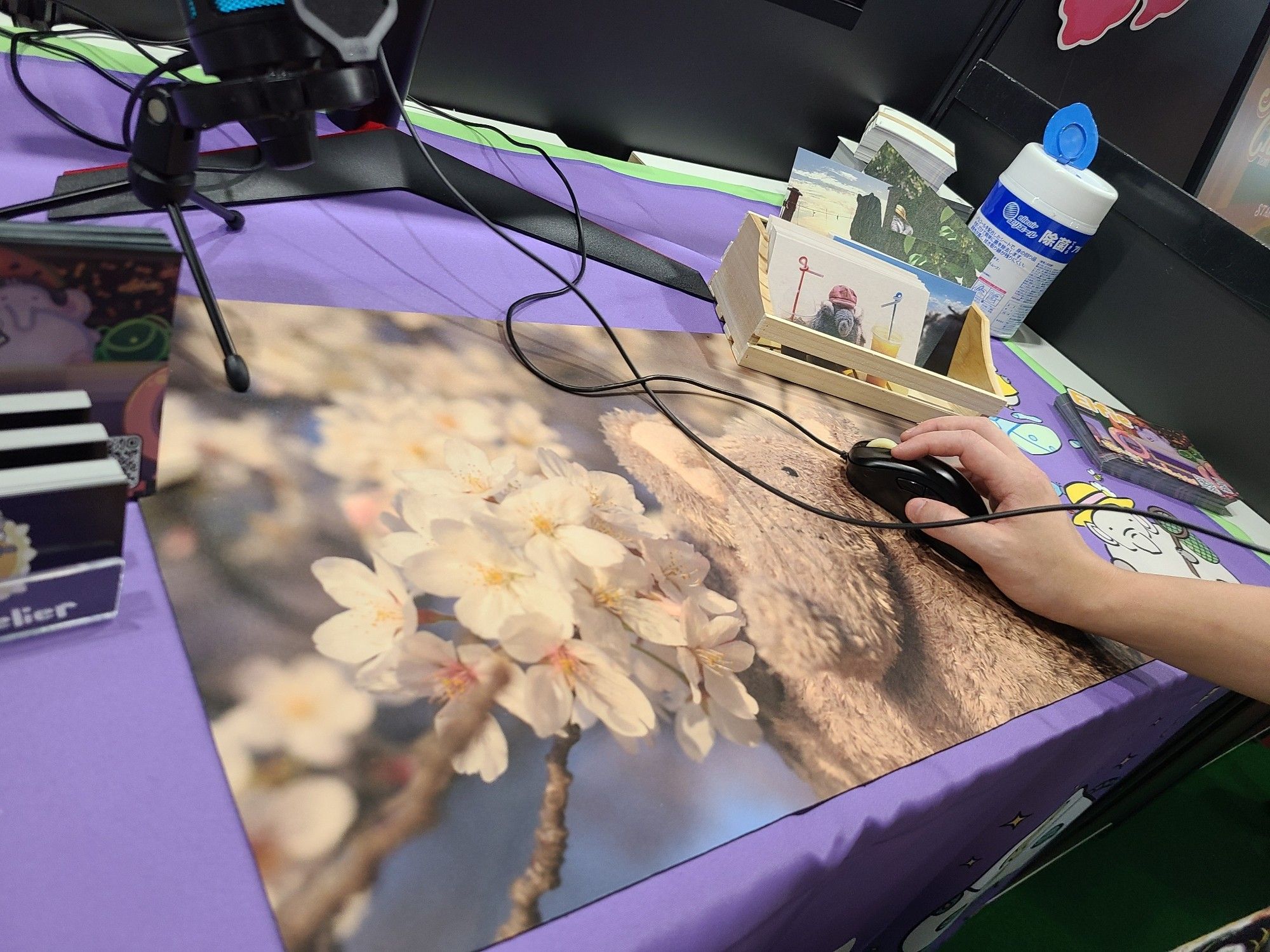 Large mousepad with a photo of Elfie and cherry blossoms