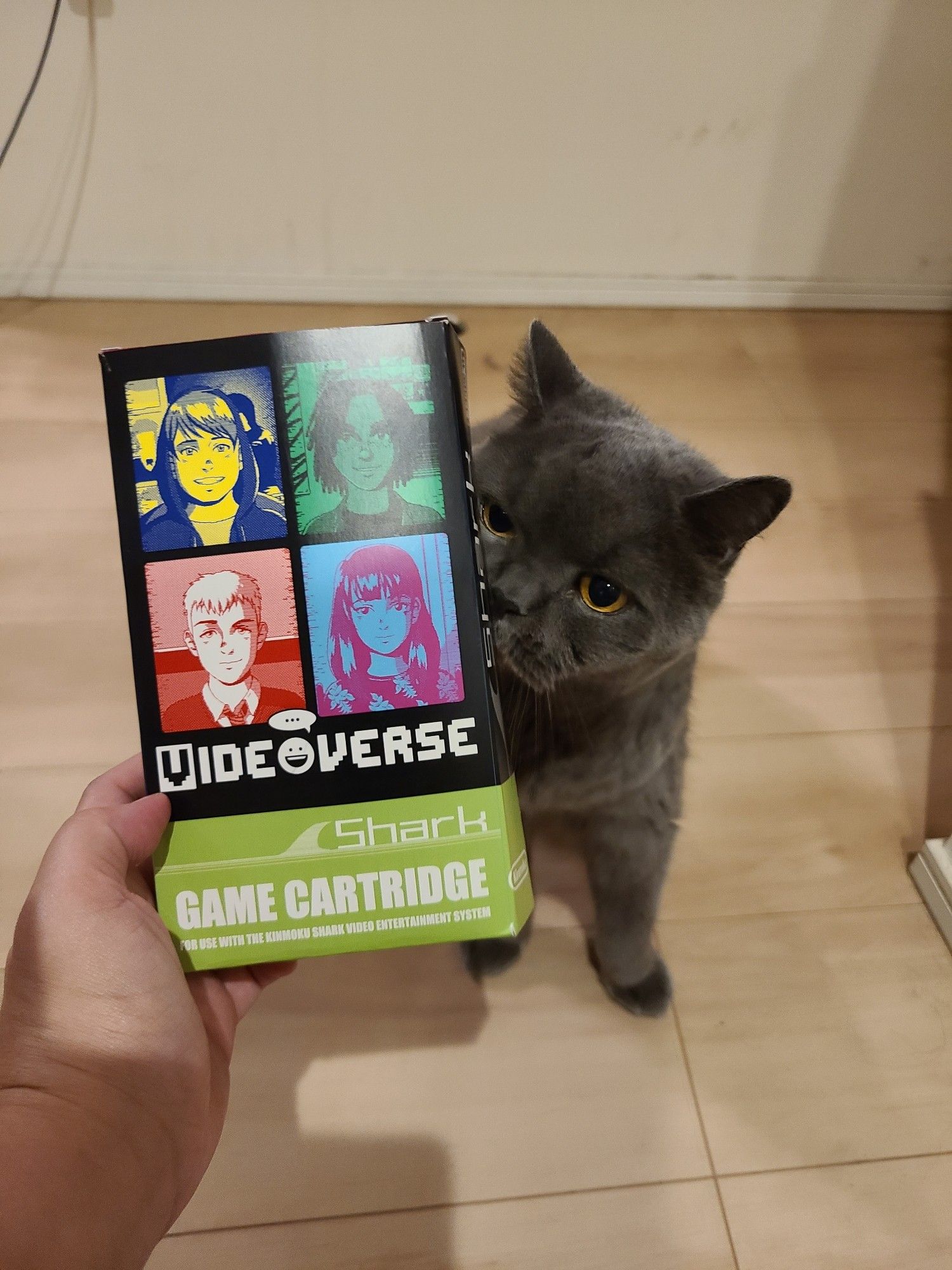 Gray cat inspecting the finished and folded Videoverse game box