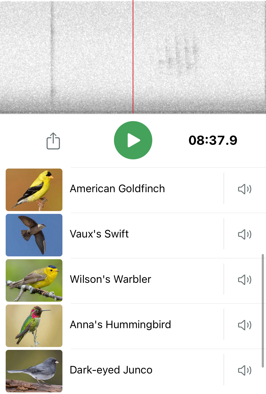 Spectrogram with five birds listed beneath it: American goldfinch, Vaux's swift, Wilson's warbler, Anna's hummingbird, dark-eyed junco.