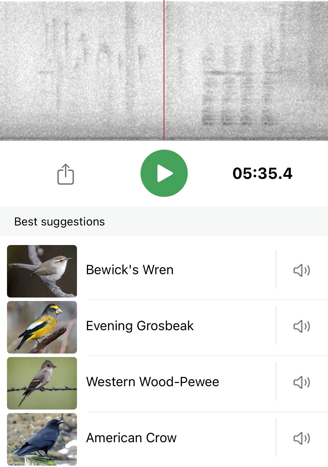 Spectrogram with four birds listed beneath: Bewick's wren, evening grosbeak, western wood-pewee, and American crow.