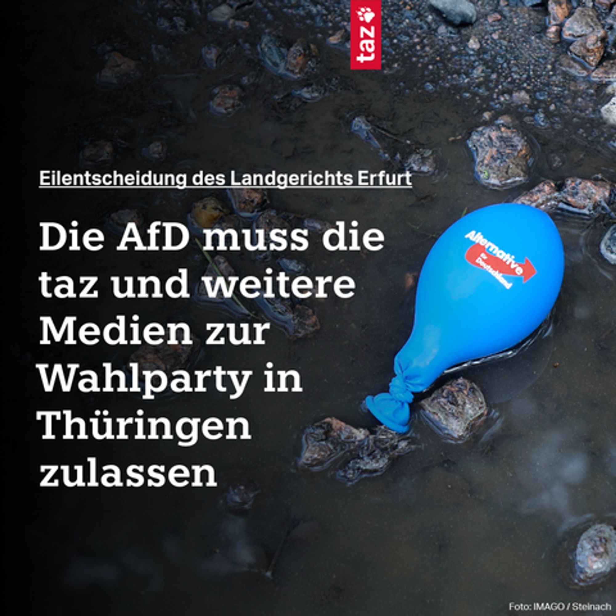 Das Bild zeigt einen traurigen AfD-Luftballon, der im Dreck liegt. Dazu der Text: Eilentscheidung des Landgerichts Erfurt: Die AfD muss die taz und weitere Medien zur Wahlparty in Thüringen zulassen