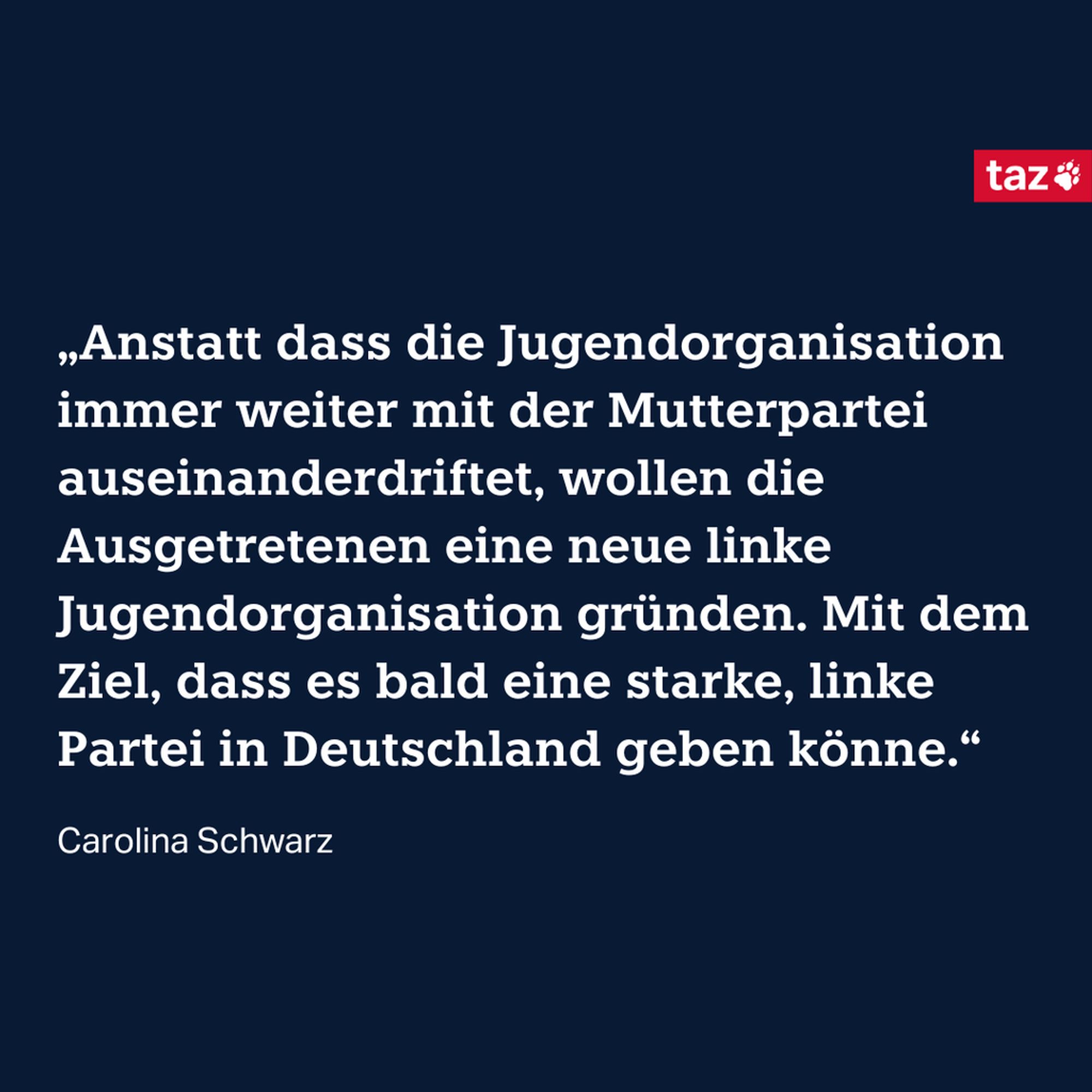 „Anstatt dass die Jugendorganisation immer weiter mit der Mutterpartei auseinanderdriftet, wollen die Ausgetretenen eine neue linke Jugendorganisation gründen. Mit dem Ziel, dass es bald eine starke, linke Partei in Deutschland geben könne.“  Carolina Schwarz