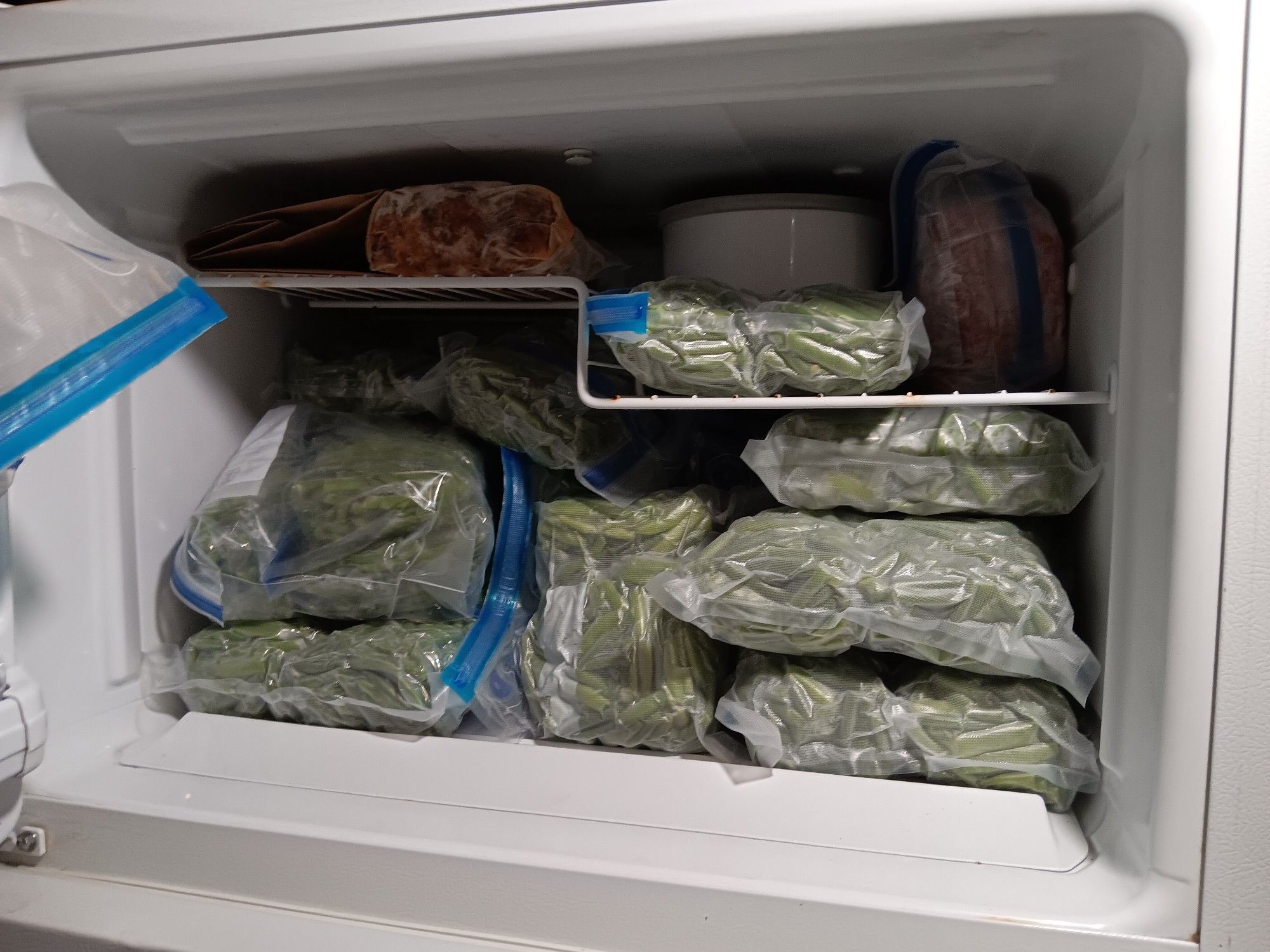 Freezer full of packed frozen green beans.