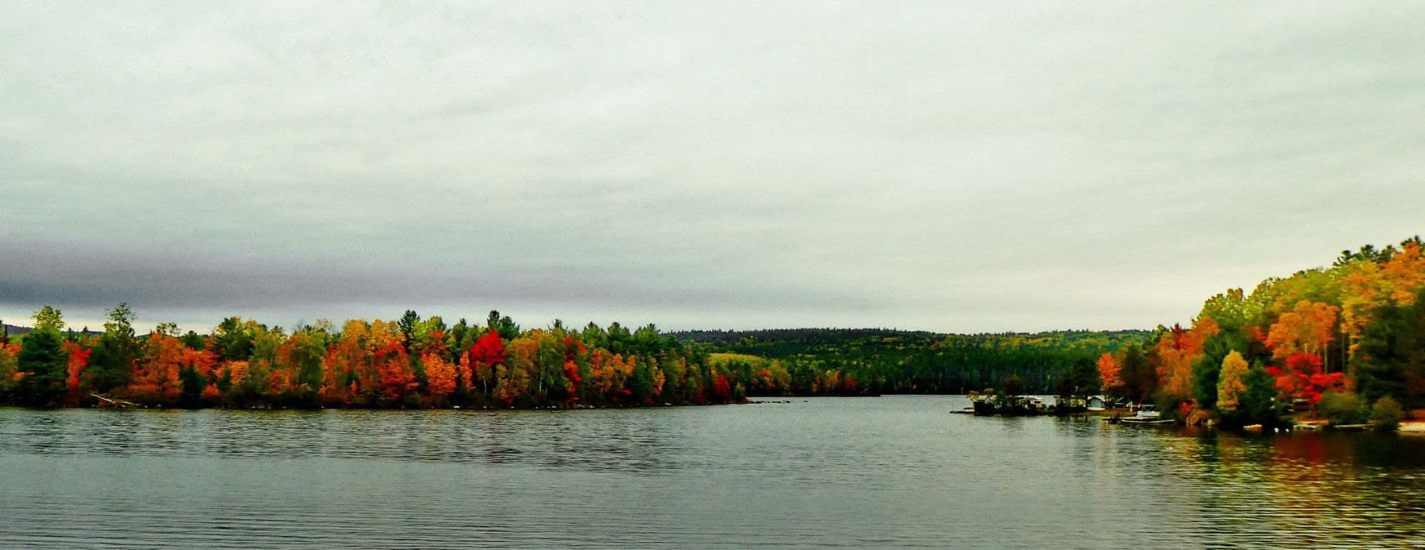 Un rivière tranquille bordée de for^ts colorées du vert au rouge vif.