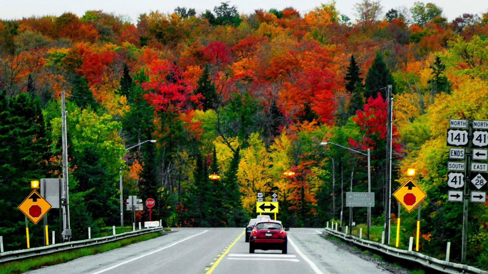 une route qui prend fin à un croisement en T avec deux voitures. En face de la fin de la route, une forêt en pente douce où se trouvent des arbres de toutes les couleurs de l'automne. Allant du vert au rouge vif en passant par le jeune, le brun et l'orangé.