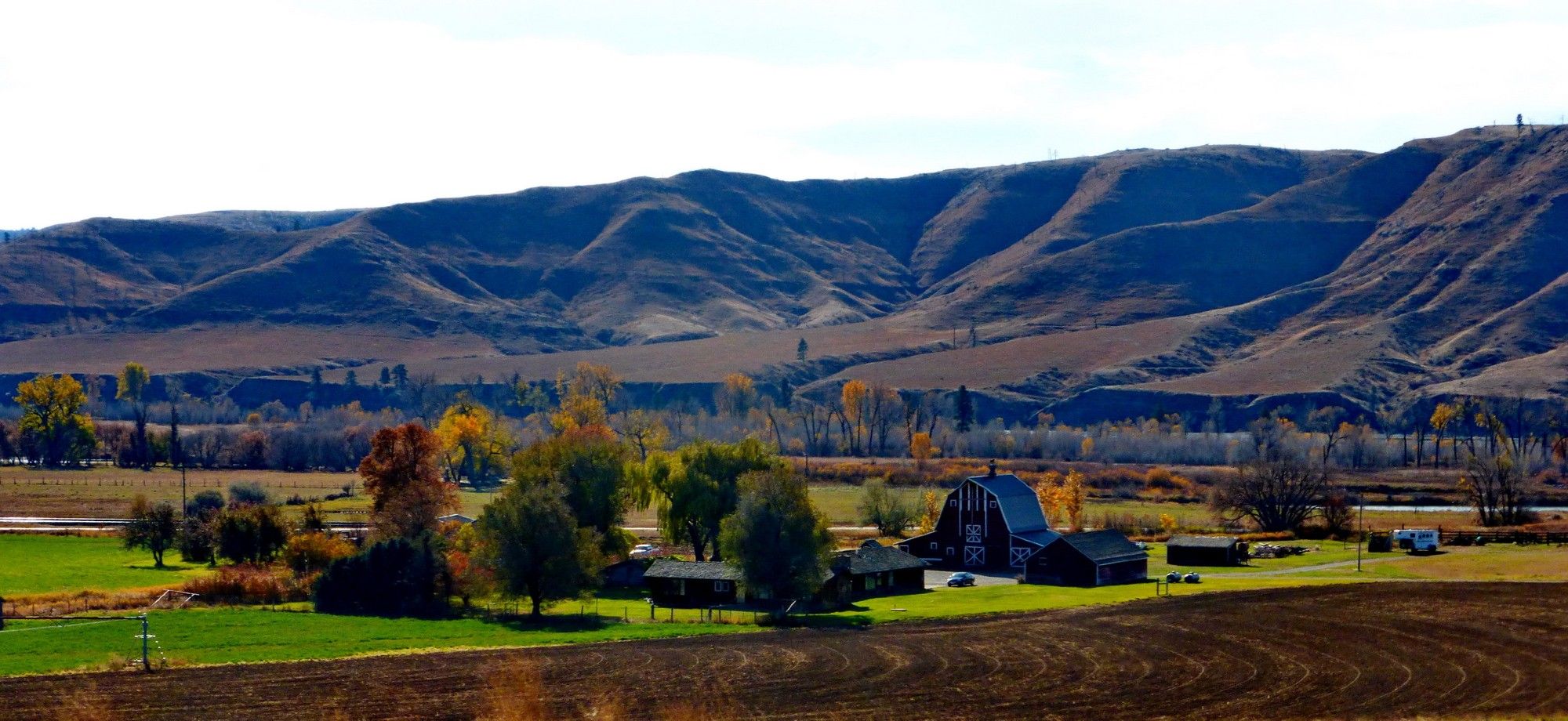 Un paysage bucolique typique du Montana agricole. Une ferme, une grange rouge traditionelle et des batiments agricoles sur une terre verte de cette herbe qui sera bientôt recouverte de neige jusqu'au printemps. Là encore, l'automne se manifeste sur certains arbres avec la flamboyance des couleurs alors que d'autres sont déjà dégarnis et eteints pour l'hiver.