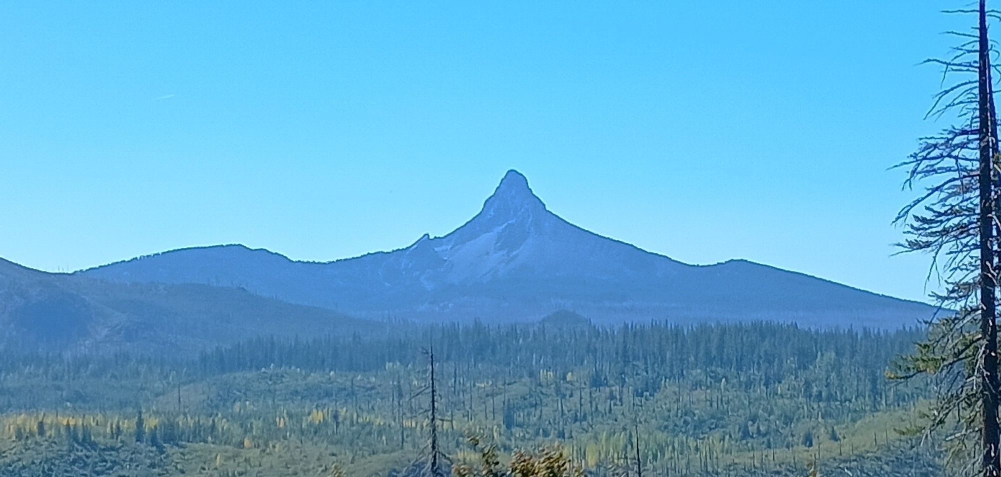 On voit presque en ombre chinoise à cause de la polarisation de la lumière le mont Washington qui se dresse à l'horizon. En avant plan,  une vaste forêt d'epineux couvre ses flancs et la vallée qui le sépare de Santiam