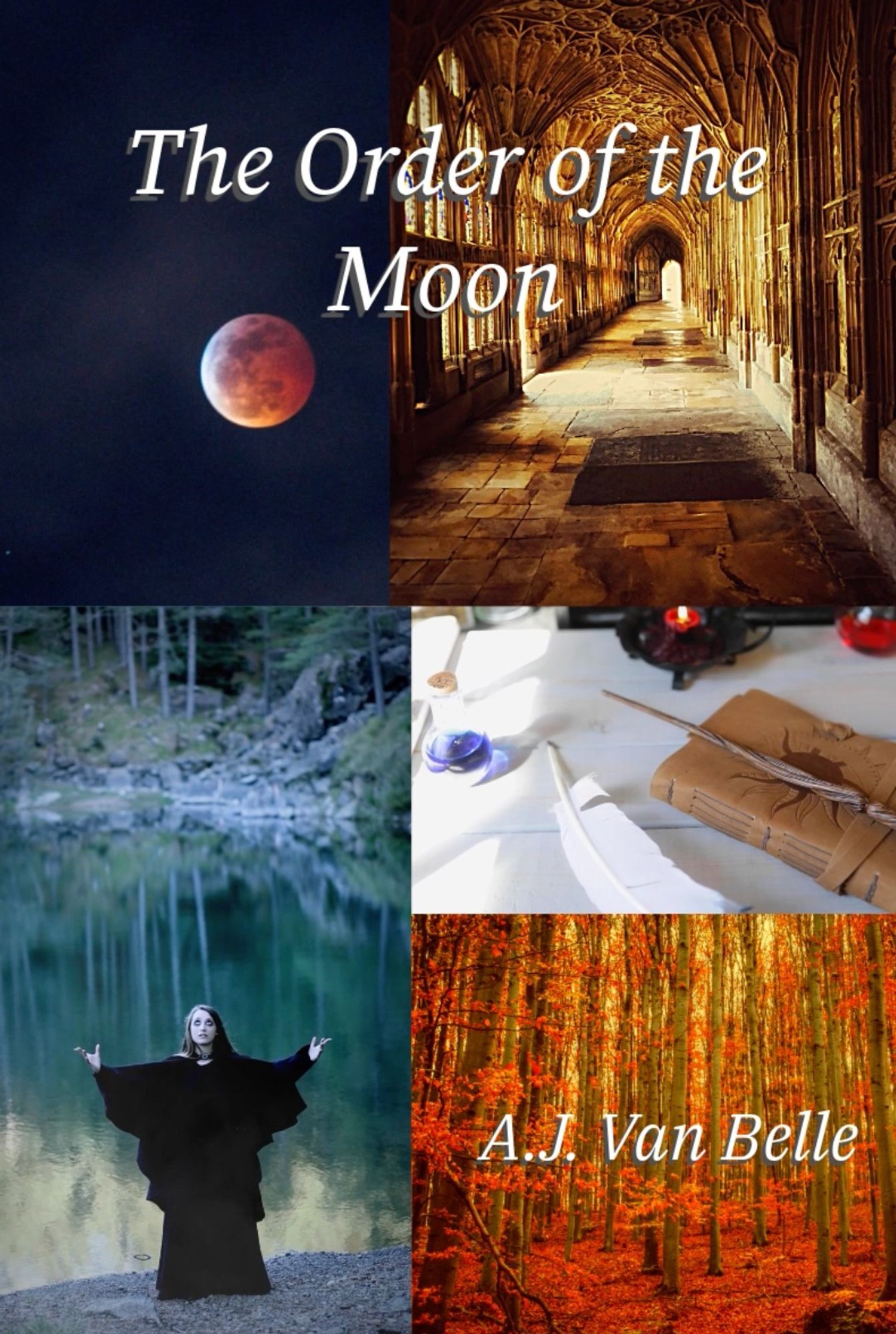 Moodboard with images of a blood-red moon, an autumn forest, a woman in black robes at the edge of a lake in the woods, a monastery corridor, and a desk topped with a leather-bound book, candles, and a wooden wand. Caption: "The Order of the Moon. A.J. Van Belle"