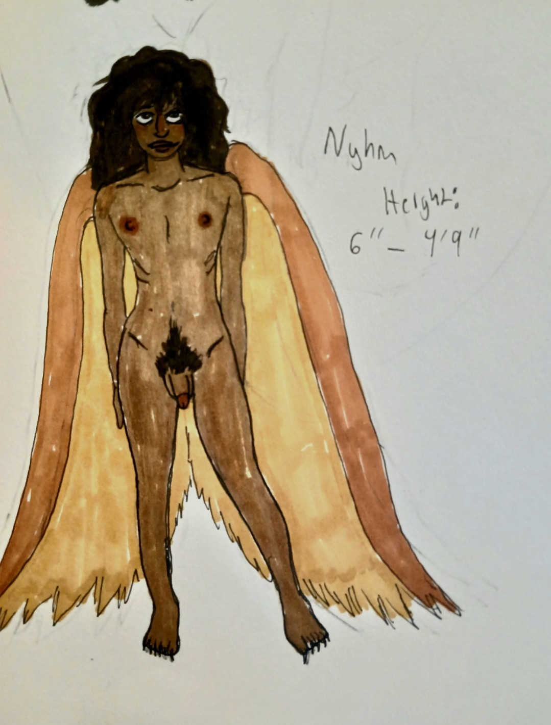 Traditional drawing of a brown skinned person with a penis, and their nipples out. They have brown and dark yellow wings that hang to the floor. They are nude. To the right of them are words: Nyhm, which is their name. And Height: 6"–4'9"