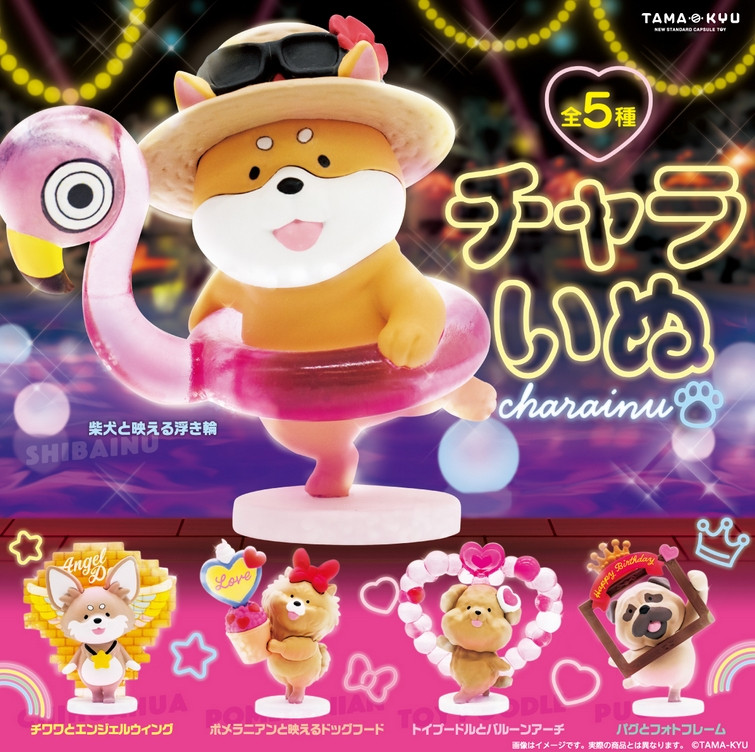 『TAMA-KYU チャラいぬ』
ラインナップ＜１＞柴犬と映える浮き輪＜２＞チワワとエンジェルウィング＜３＞ポメラニアンと映えるドッグフード＜４＞トイプードルとバルーンアーチ＜５＞パグとフォトフレーム
メーカー：ブシロード
2022年9月発
"TAMA-KYU Cool Dog" 
 Lineup <1> Shiba Inu and a swim ring that looks great <2> Chihuahua and angel wings <3> Pomeranian and dog food that looks great <4> Toy poodle and balloon arch <5> Pug and photo frame 
 Manufacturer: Bushiroad 
 Released in September 2022