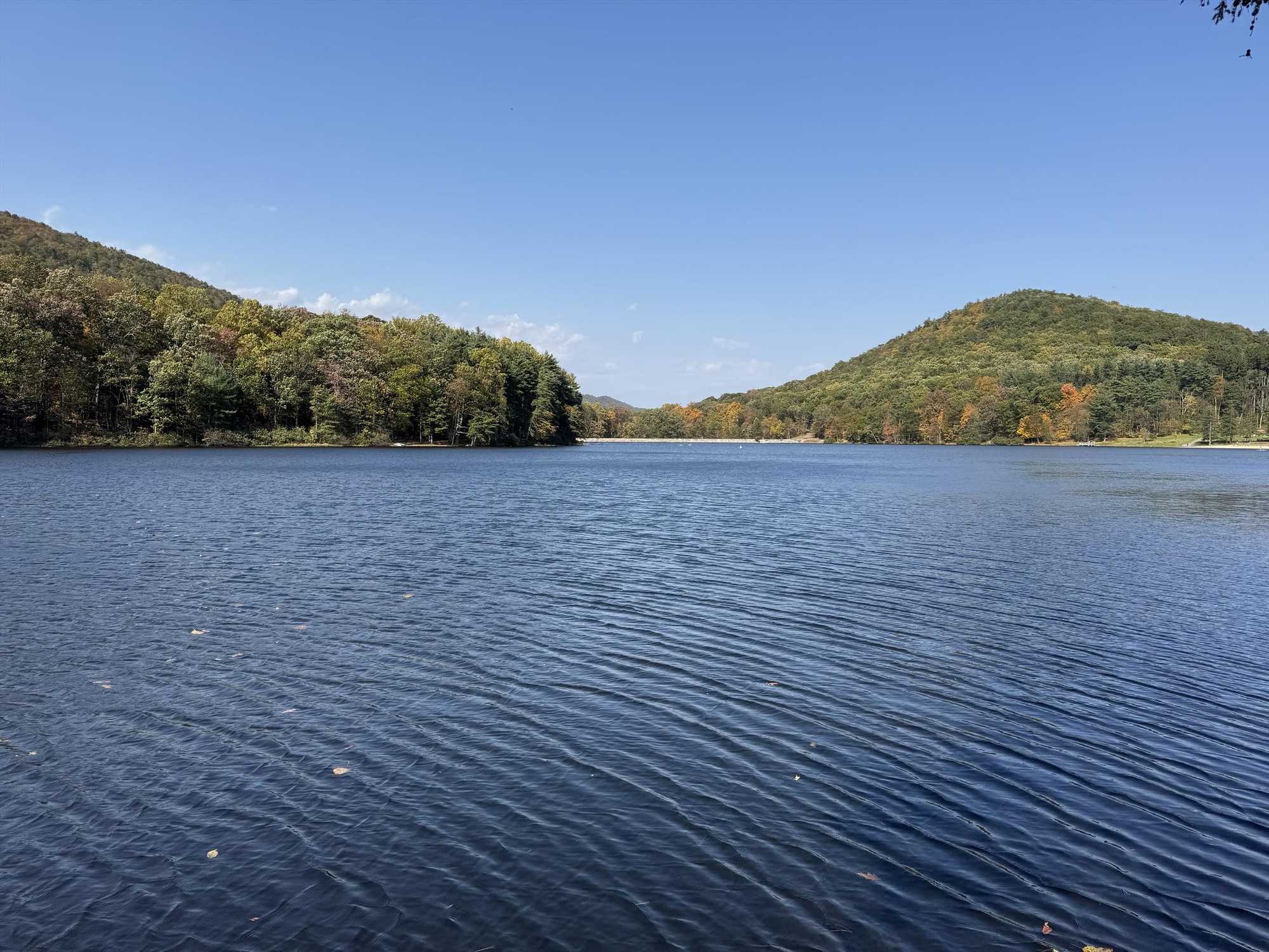 A serene lake under a clear blue sky, surrounded by tree-covered hills. The foliage is beginning to show early signs of autumn, with hints of orange and yellow among the green trees. The water is calm with gentle ripples, and the landscape exudes a peaceful, early fall atmosphere