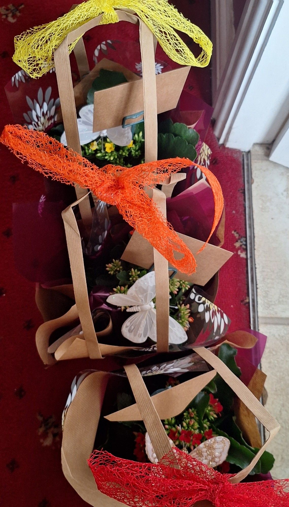 Three paper bags with small plants, each with a butterfly decoration and tied with a colourful ribbon