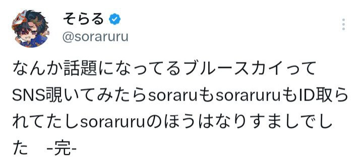 なんか話題になってるブルースカイってSNS覗いてみたらsoraruもsoraruruもID取られてたしsoraruruのほうはなりすましでした