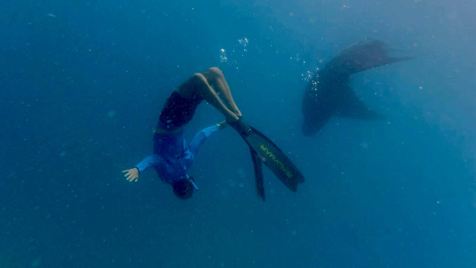 Rob somersaulting with manta 