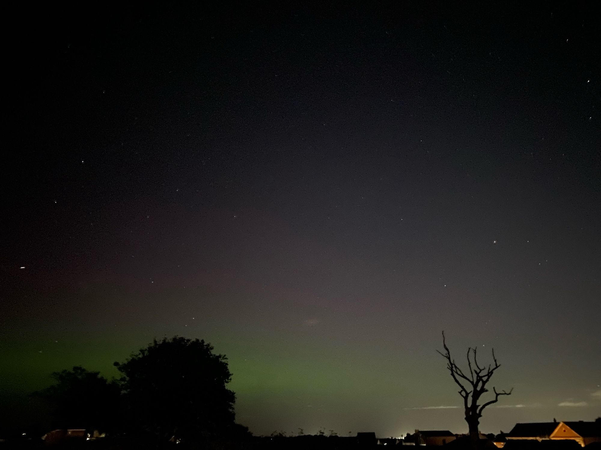 Purple and green lights from the northern lights with dark trees