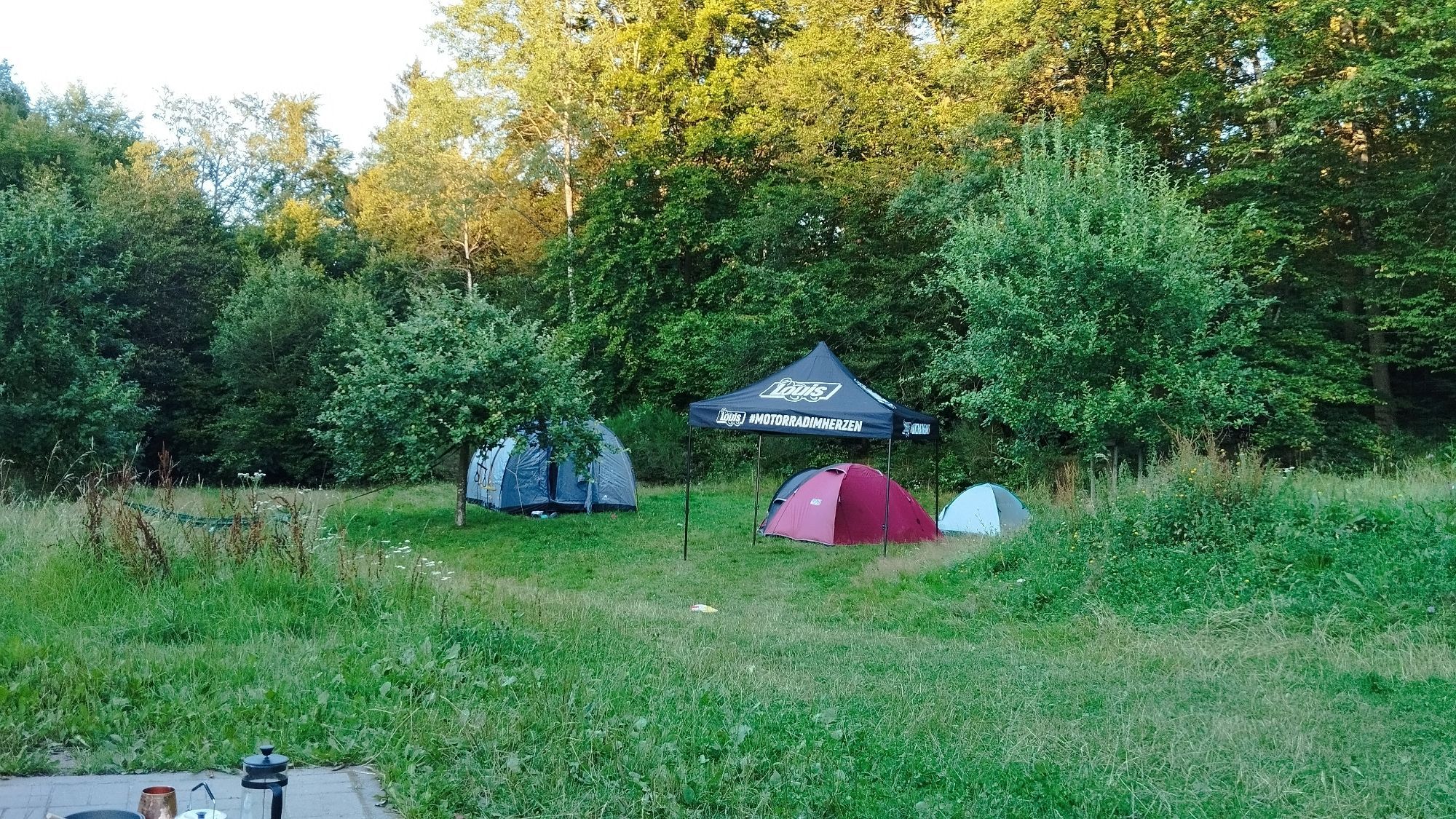 Drei Zelte und ein Pavillon auf einer grünen Wiese, dahinter grüne Bäume.