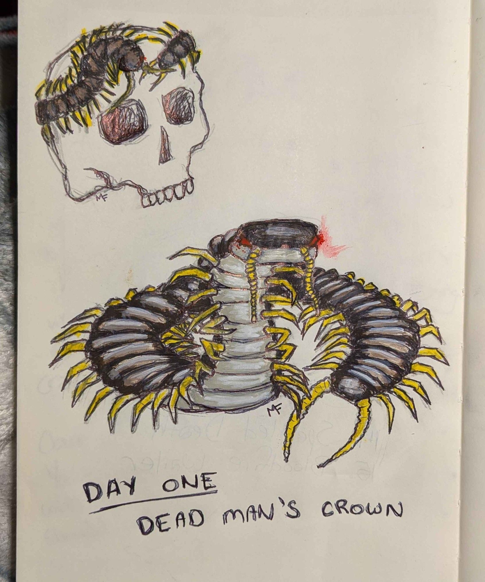 A photo of a notebook page. A centipede coils in the centre of the page. It is drawn in black pen ink and coloured in messily with acrylic paints. Its back is brown, its stomach is tan, its many legs and stingers are yellow and its eyes are red.

In the upper left hand corner of the page, the same centipede coils around the brow of a skull.

At the bottom of the page, written in capital letters are the words 'DAY ONE: DEAD MAN'S CROWN'