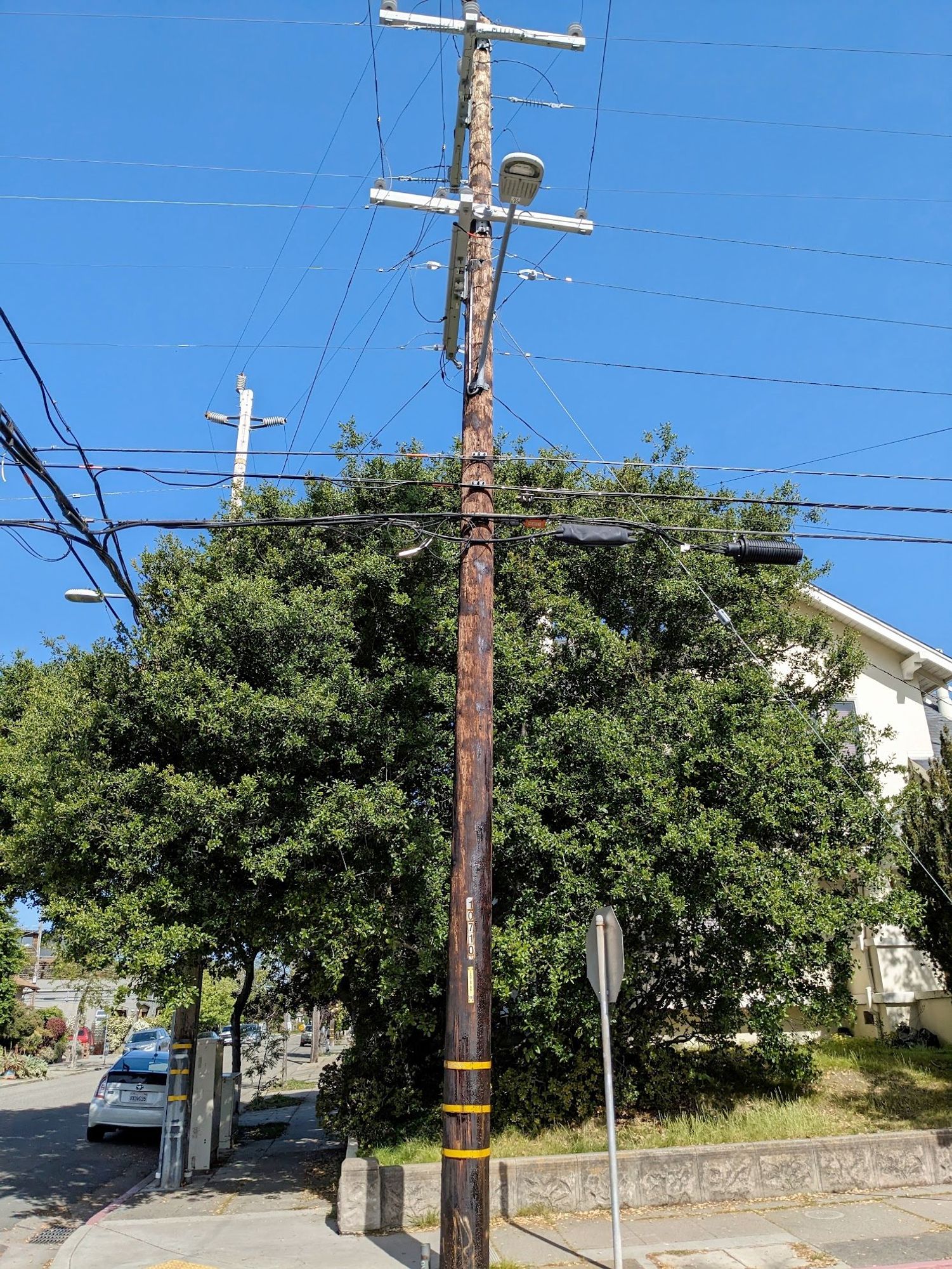 A telephone pole which is pale at the top and shiny and dark brown at the bottom