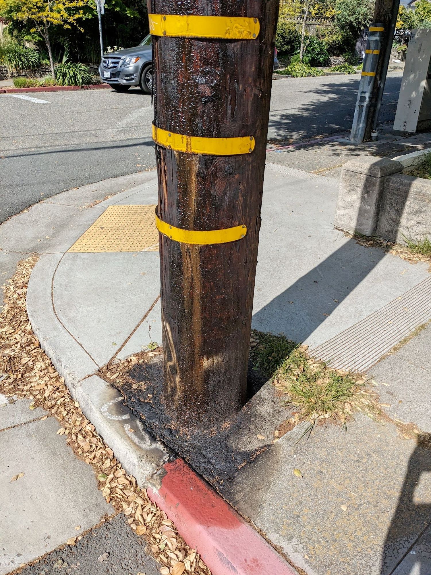 The base of a telephone pole showing pitch oozing from the wood