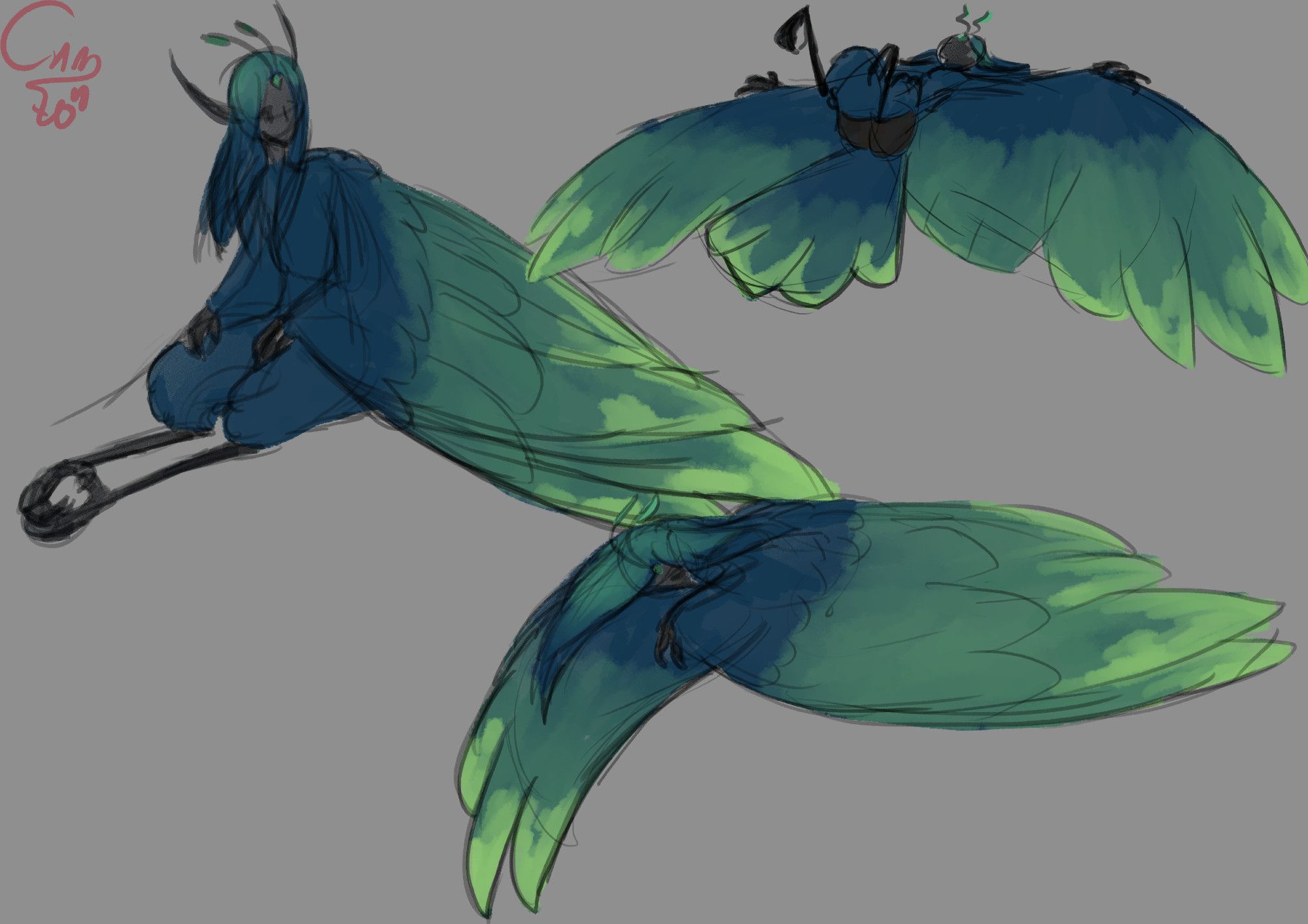 Sketchy doodles of a harpy boy, with dark blue feathers gradiating to light green. On one pose he is sitting, one lying on his back, and the last he is sleeping.