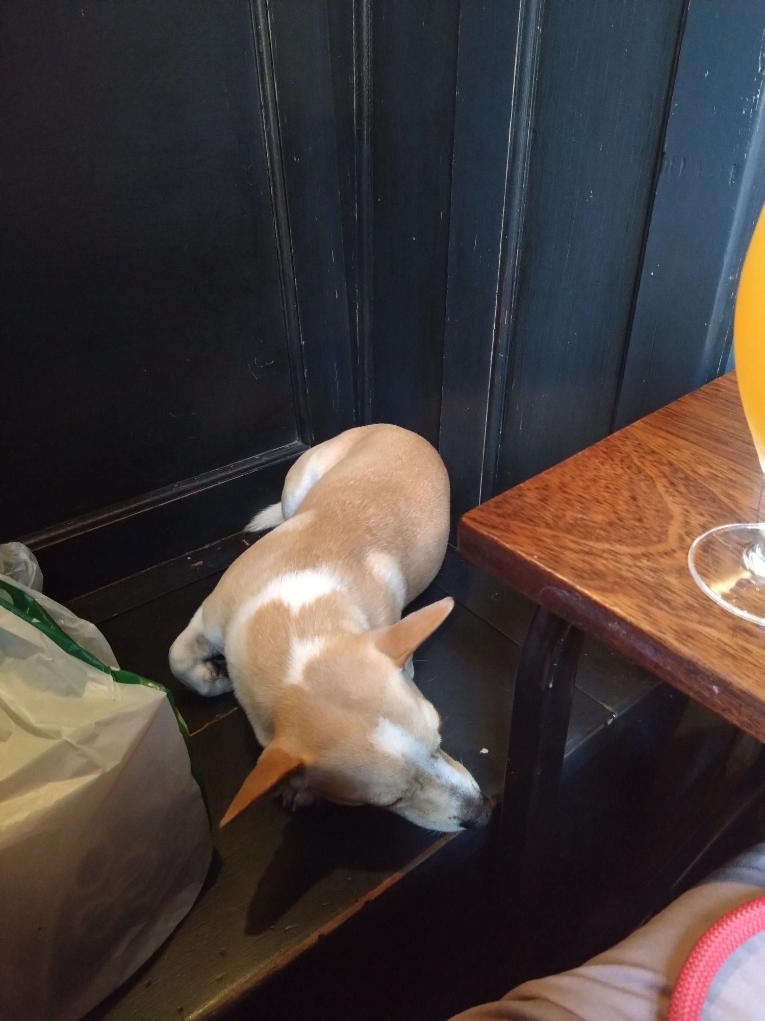 A small dog is sleeping in a wooden alcove in a pub