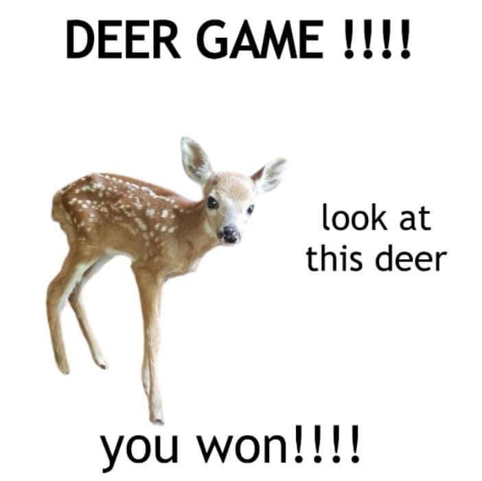 DEER GAME!!!! 

(picture of a lil fawn)

look at this deer

YOU WON!!! 